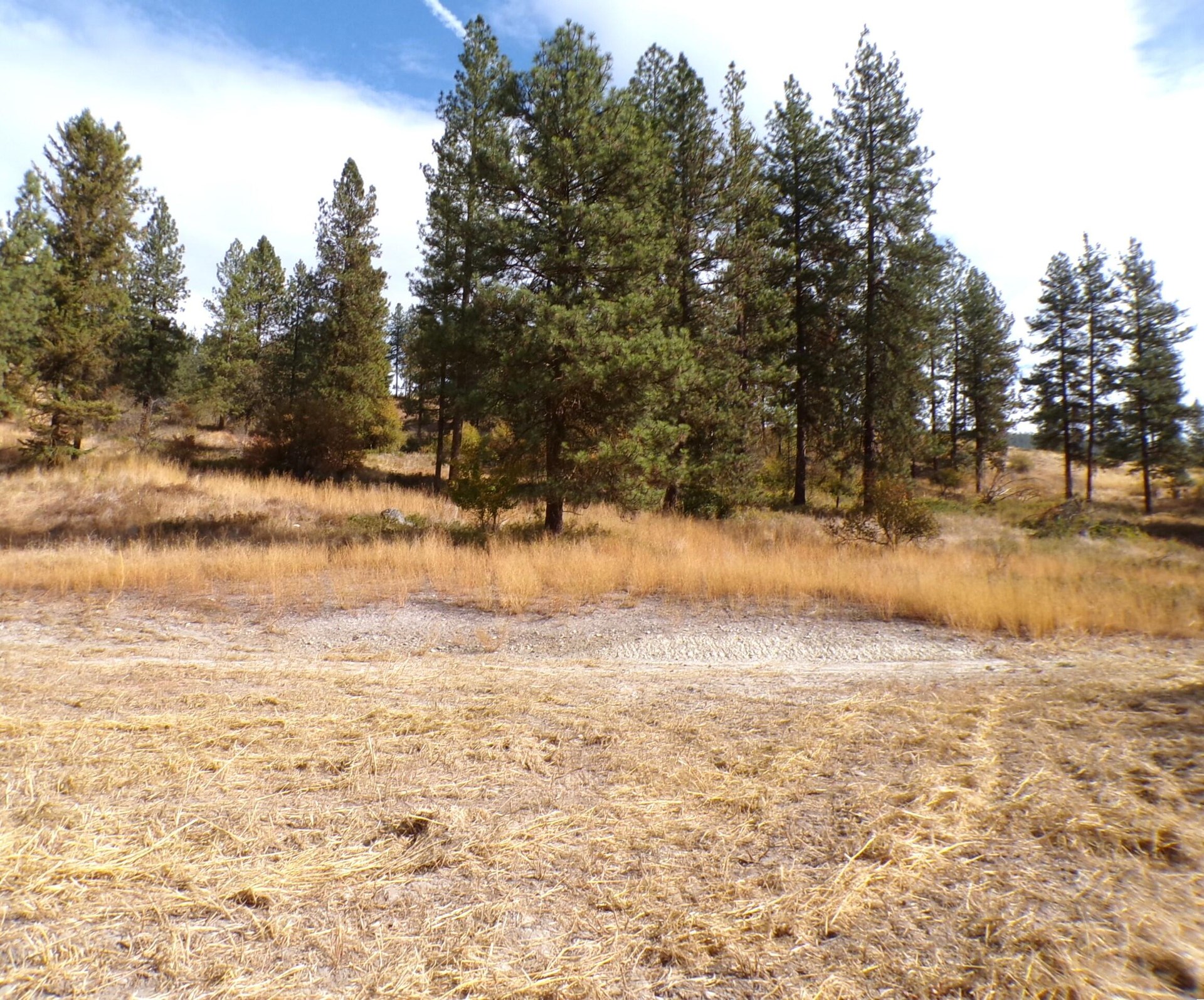 
                        Property photograph at
                        2XX HWY 395 N
                      