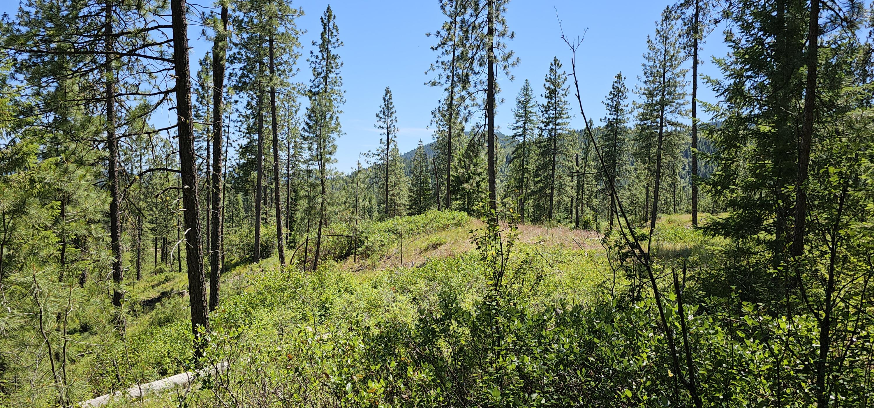 
                        Property photograph at
                        20X LYNX CREEK RD
                      
