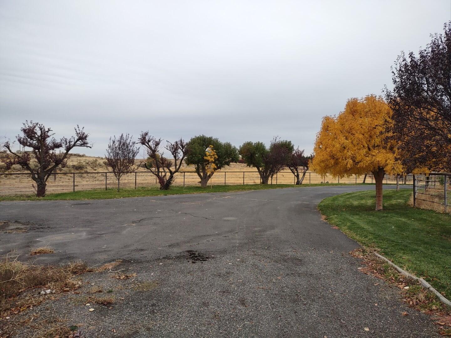 
                        Property photograph at
                        2175 W MCMANAMON RD
                      