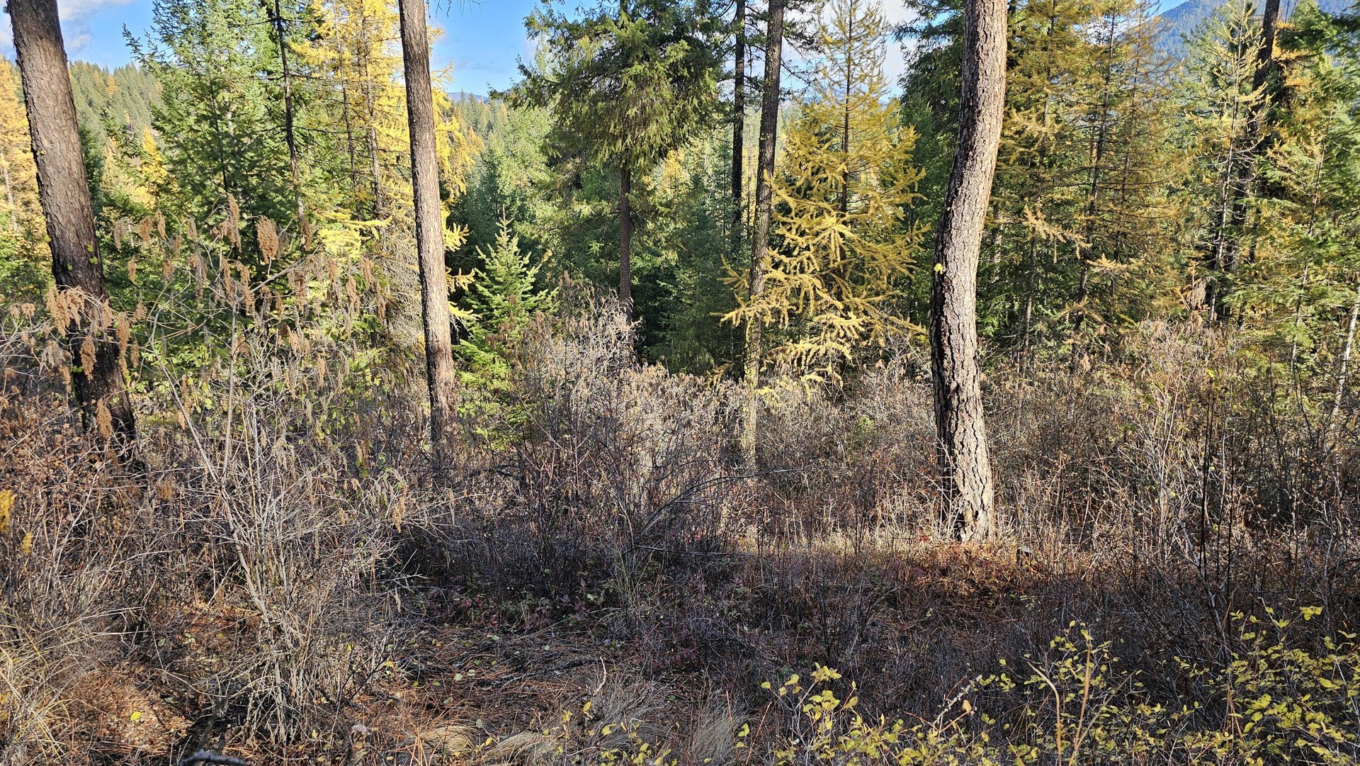
                        Property photograph at
                        700 DRY GULCH RD
                      
