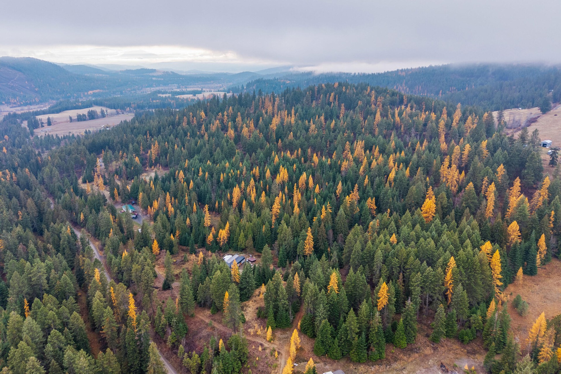 
                        Property photograph at
                        700 DRY GULCH RD
                      