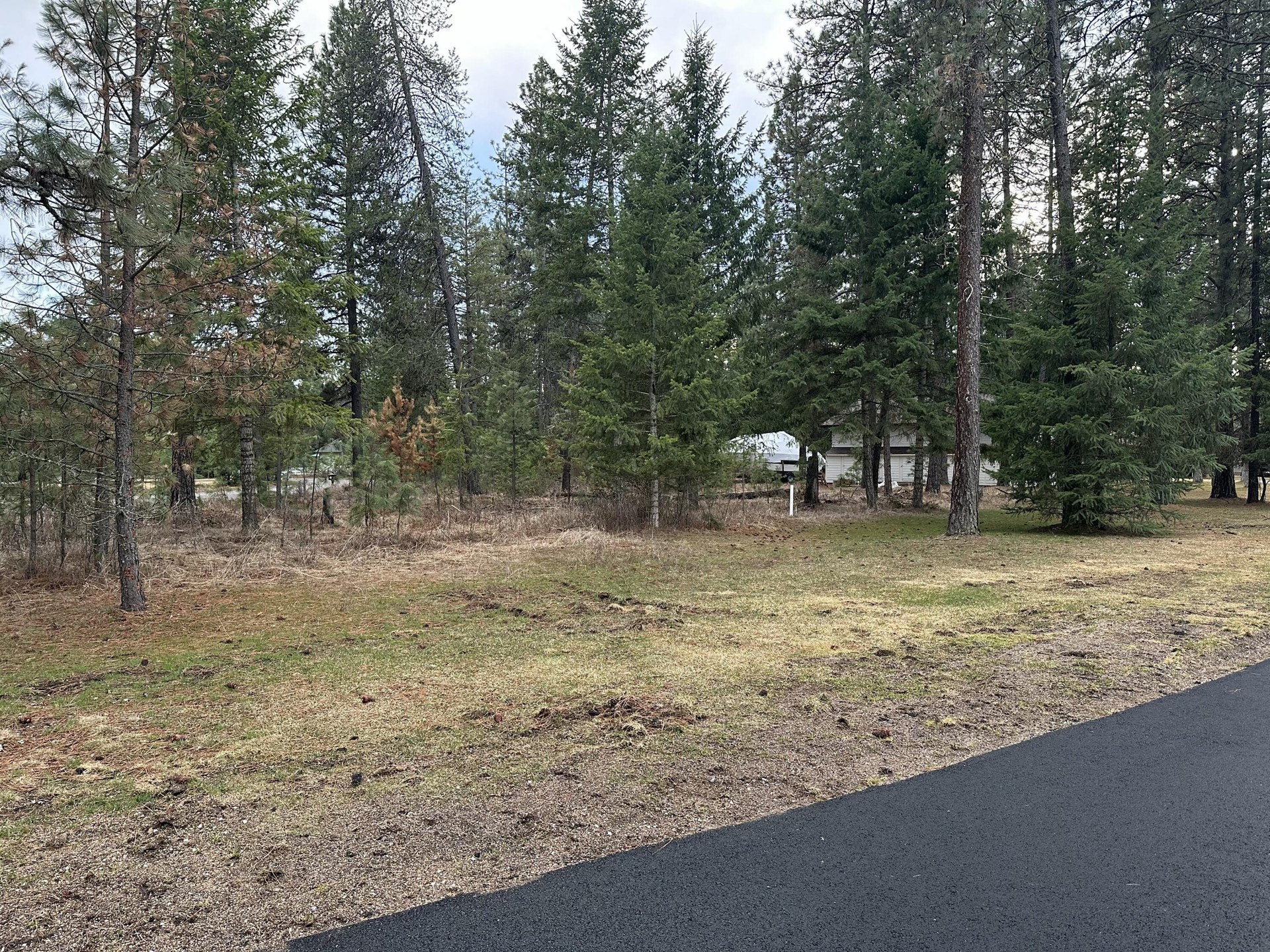 
                        Property photograph at
                        102 W TRAPPERS LOOP
                      
