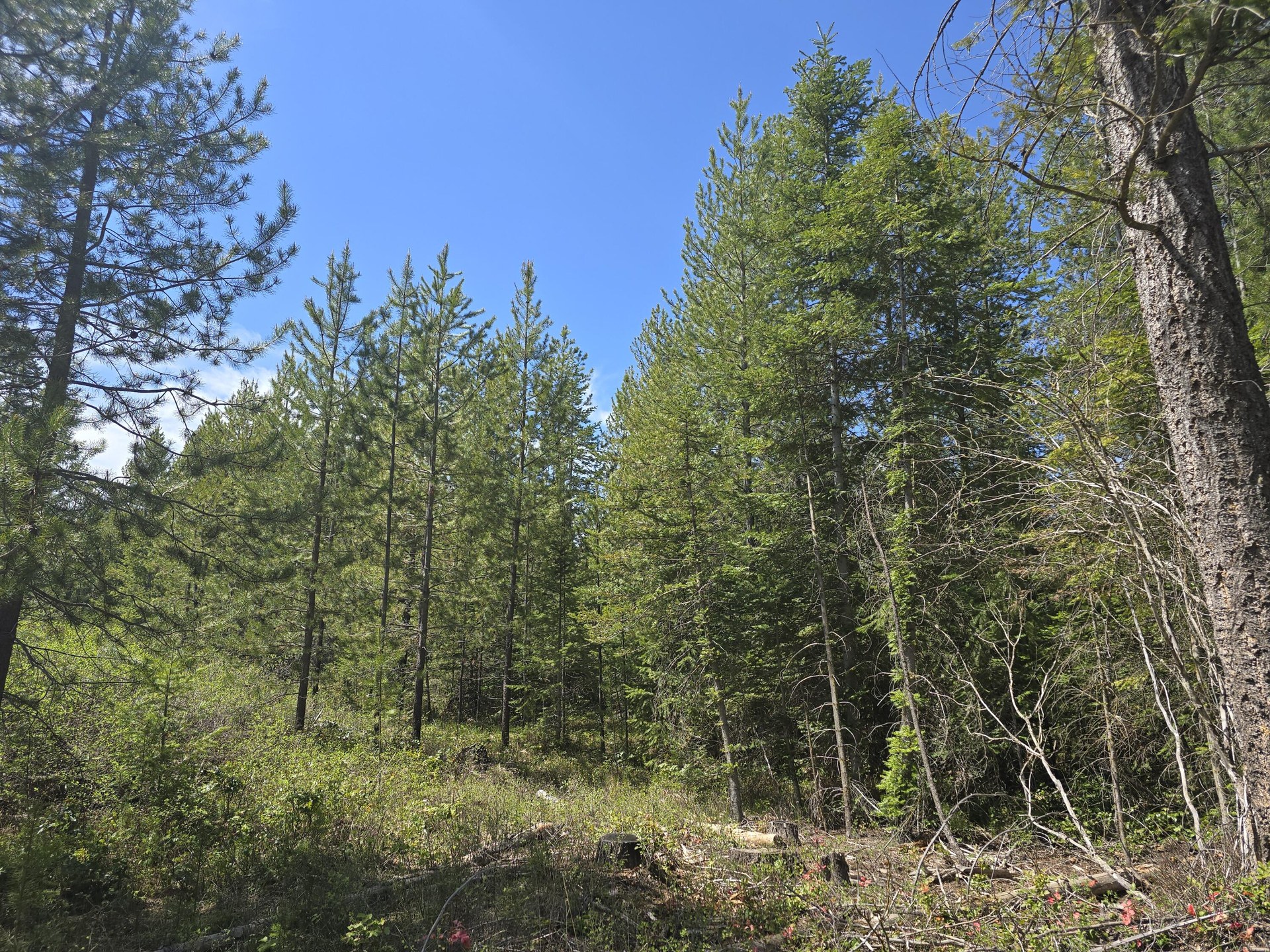 
                        Property photograph at
                        XXX W OREGON RD
                      