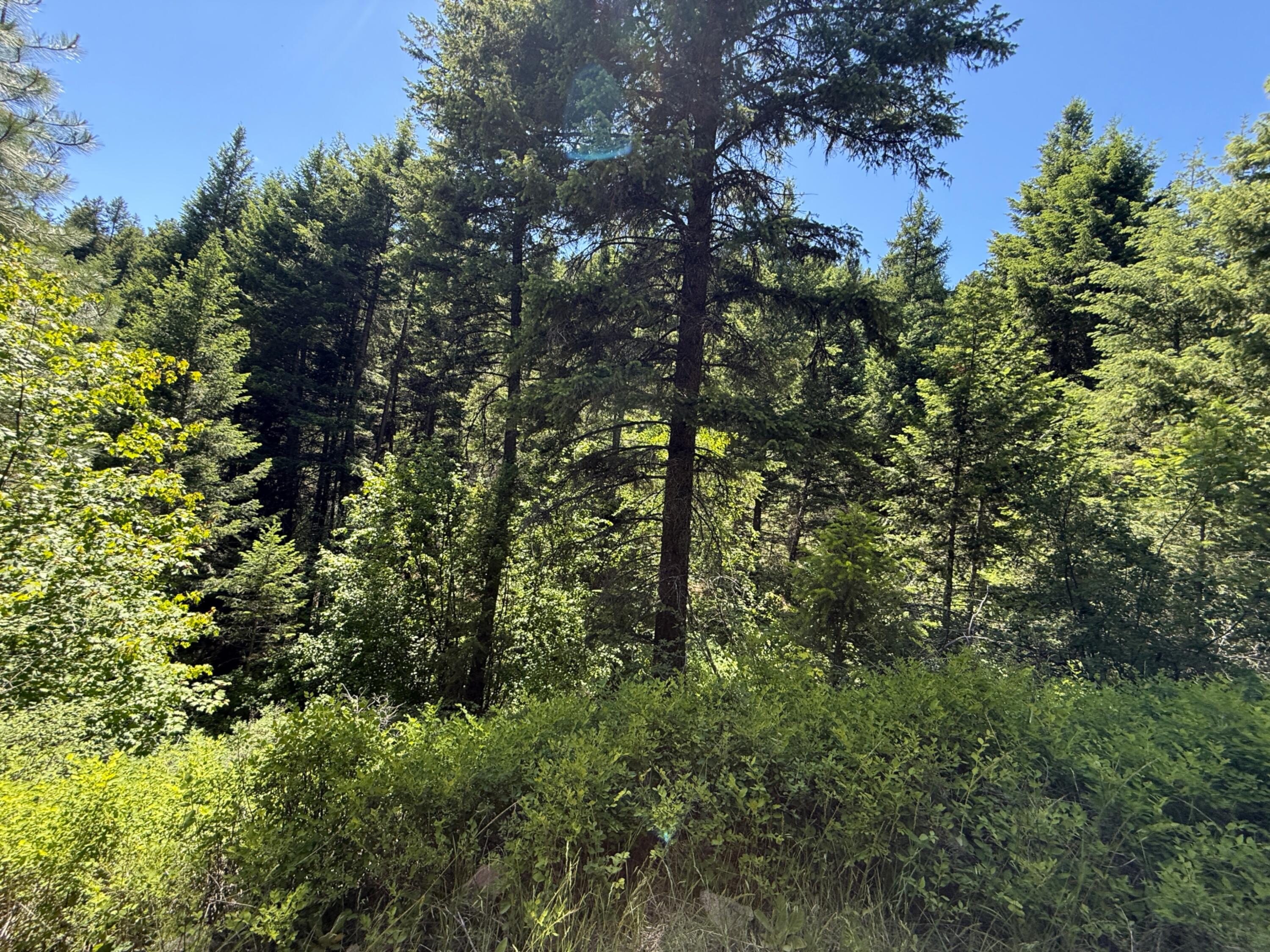 
            Exterior of
            TBD TORODA CREEK RD
          