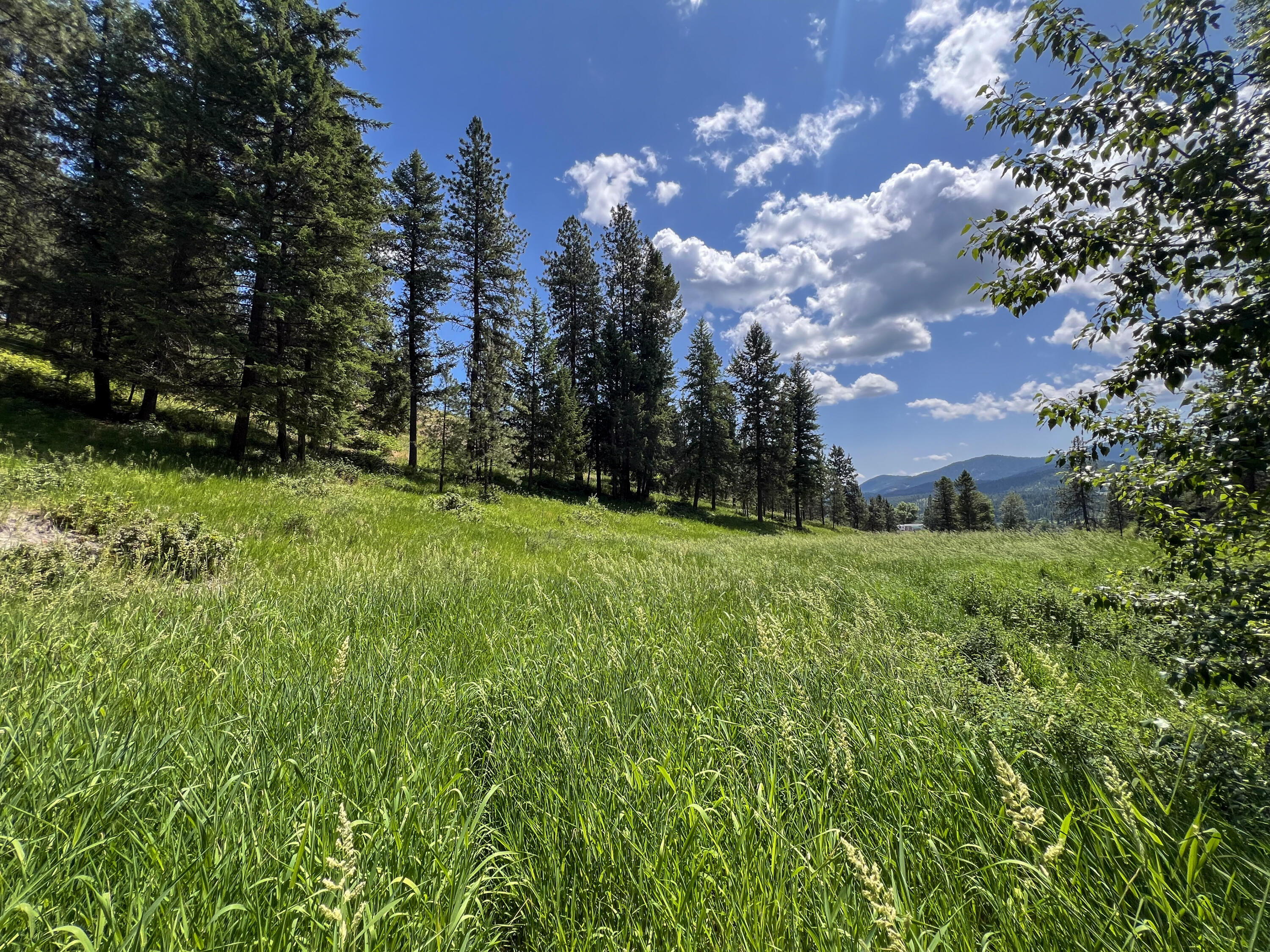 
                        Property photograph at
                        598 N HWY 395
                      