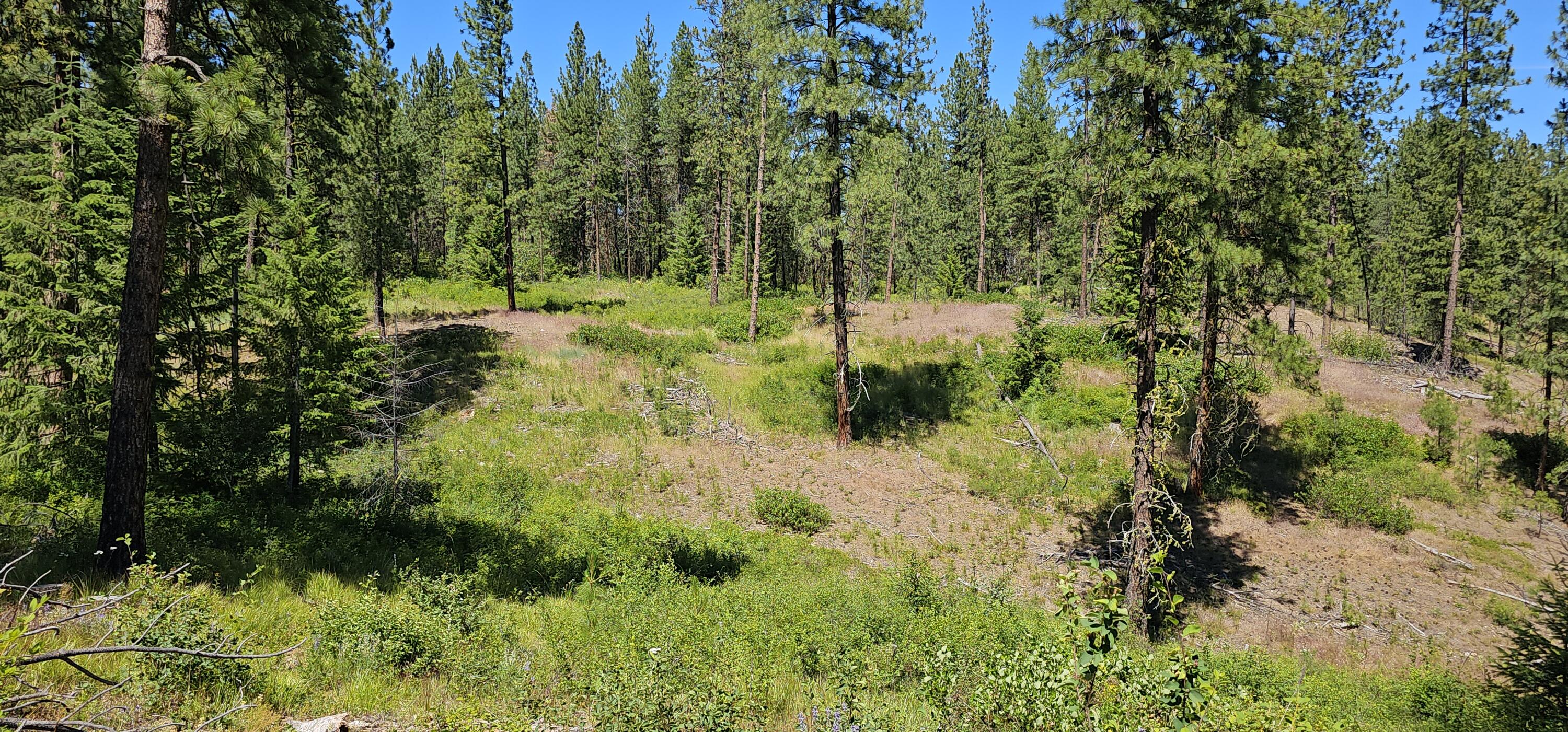 
                        Property photograph at
                        20X LYNX CREEK RD
                      