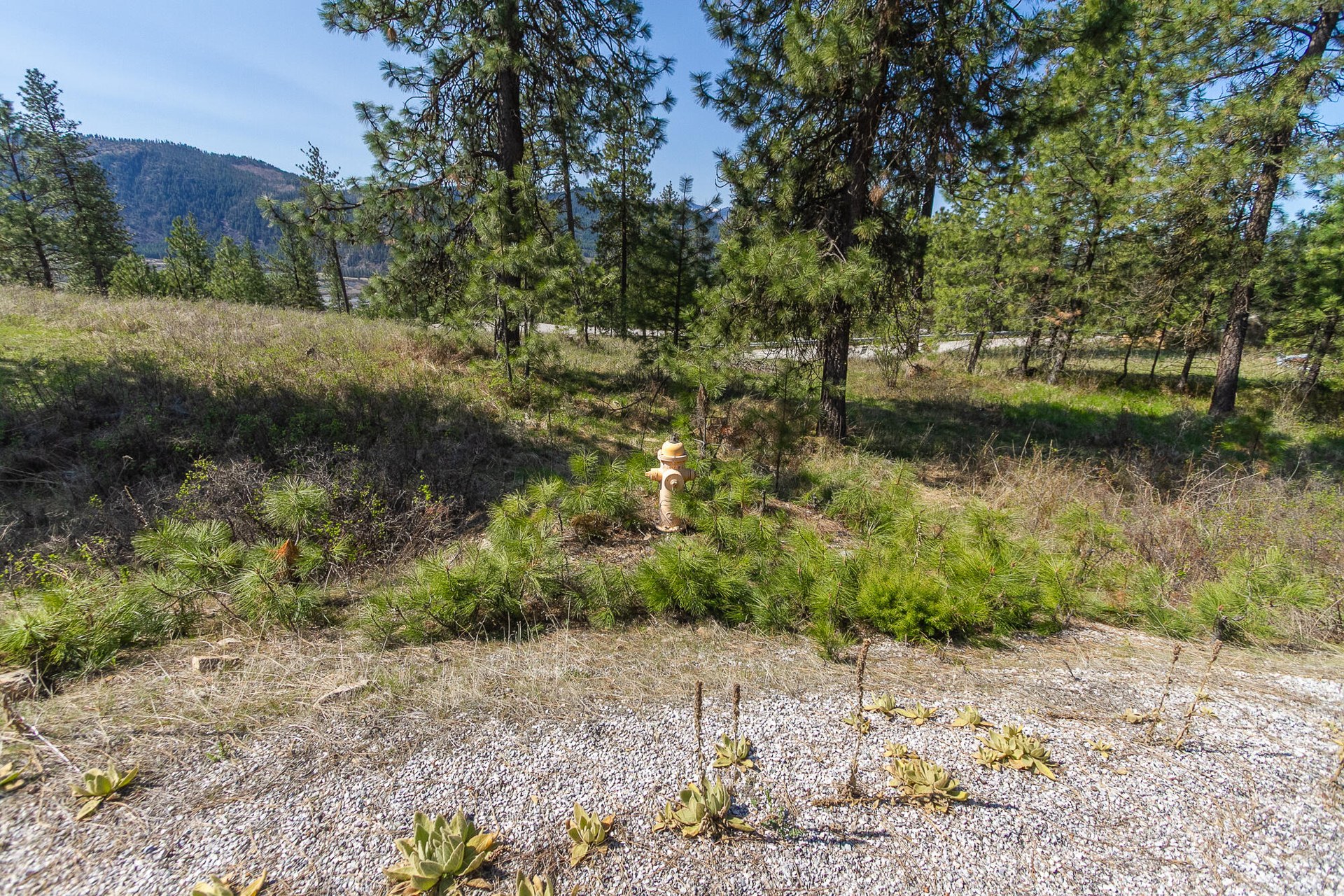 
                        Property photograph at
                        1622 PALMER LOOP
                      