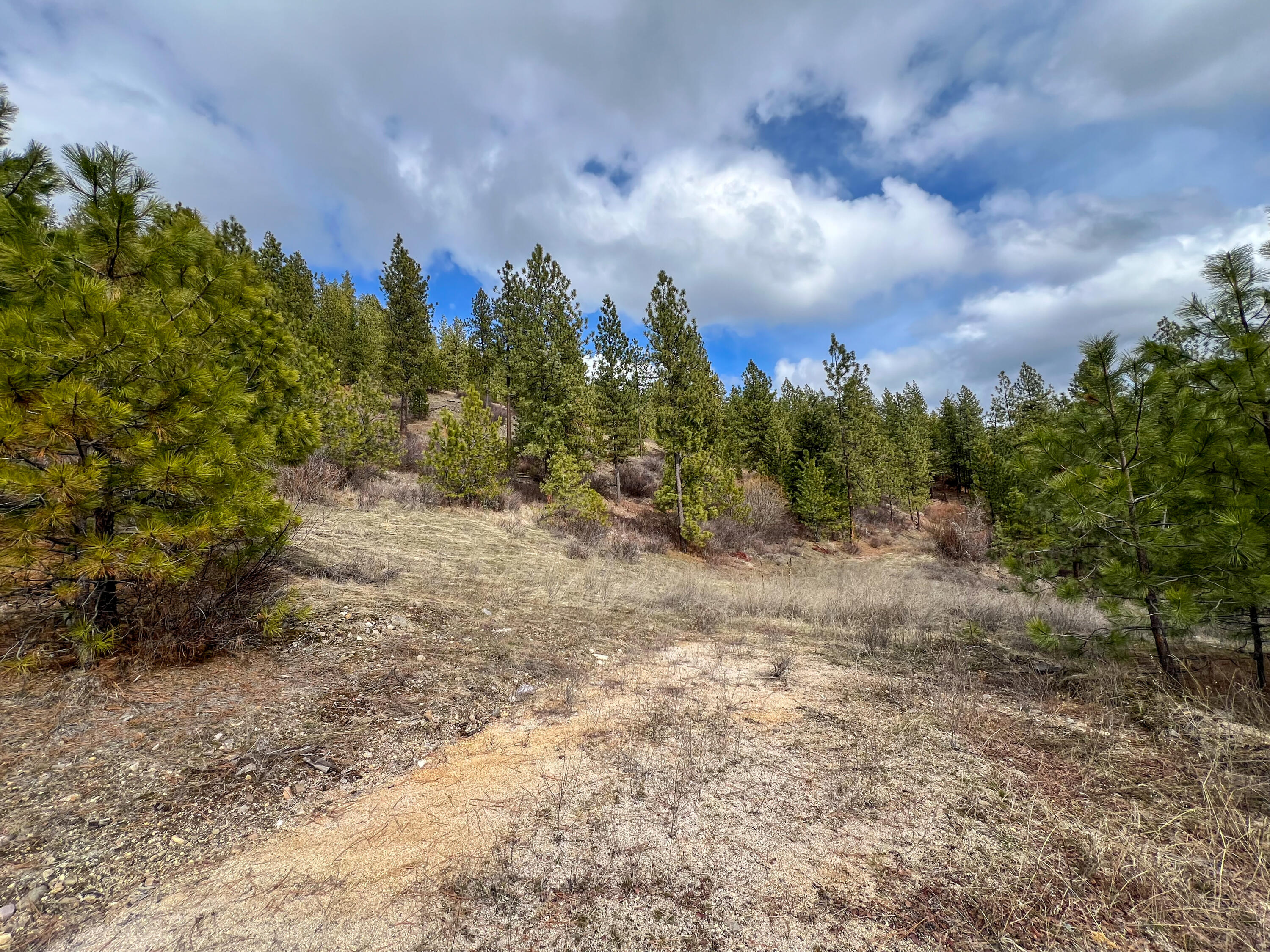 
                        Property photograph at
                        352X GREENE RD
                      