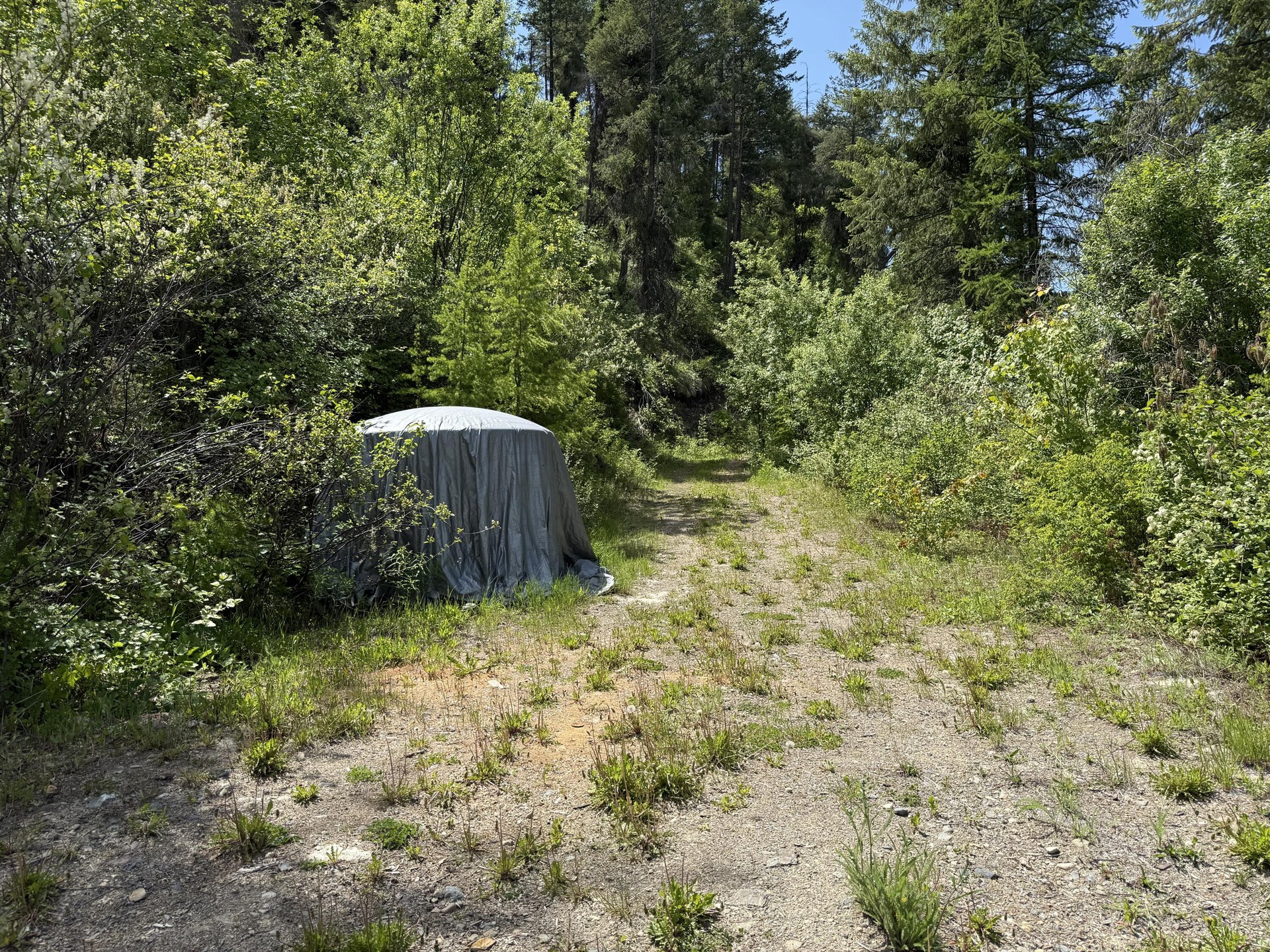 
                        Property photograph at
                        3774-C DAISY MINE RD
                      