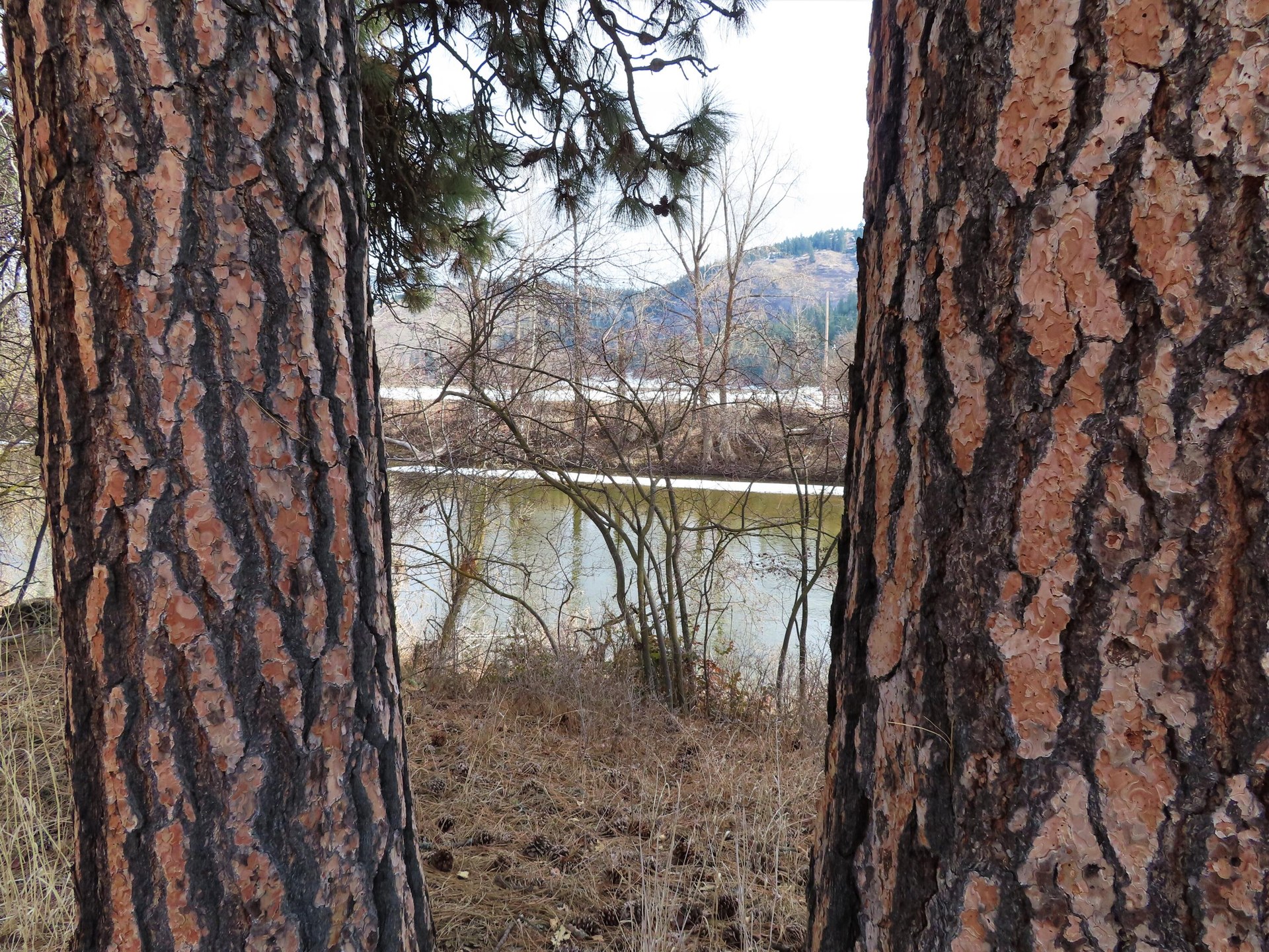
                        Property photograph at
                        TBD HIGHWAY 21 N
                      