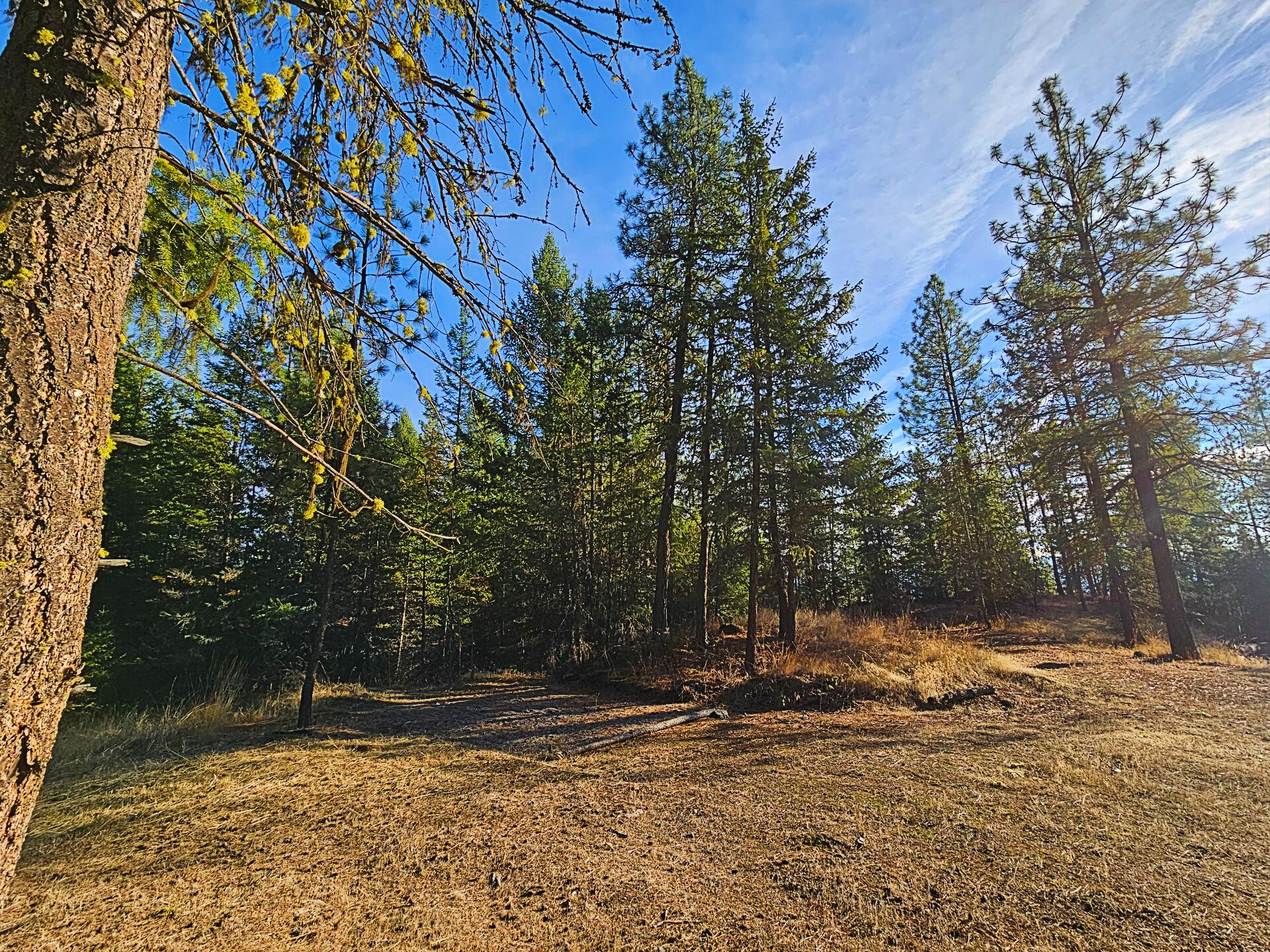 
                        Property photograph at
                        1631Q BONANZA HILL RD N
                      