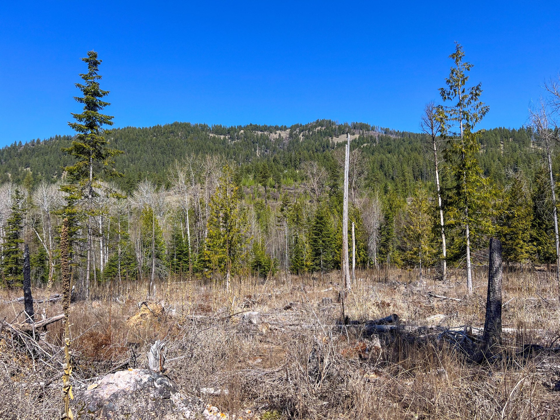 
                        Property photograph at
                        26XX FLOWERY TRAIL RD
                      