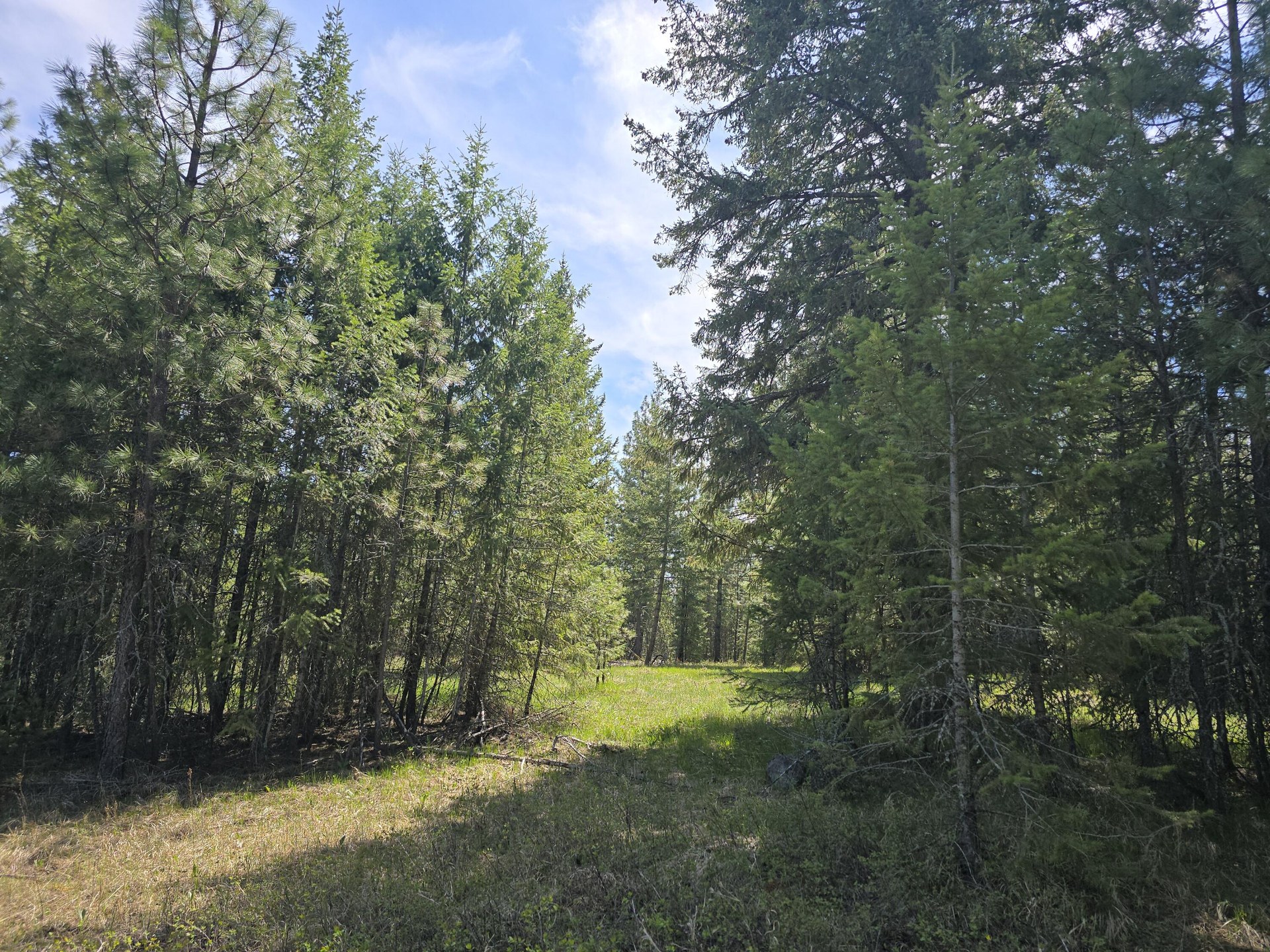 
                        Property photograph at
                        XXX W OREGON RD
                      