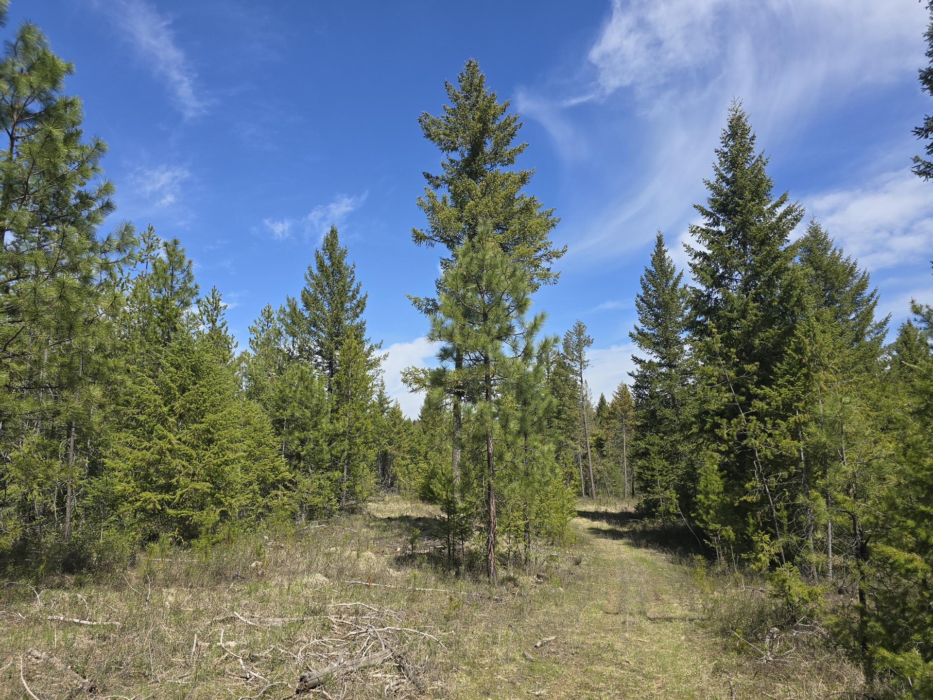 
                        Property photograph at
                        XXX W OREGON RD
                      