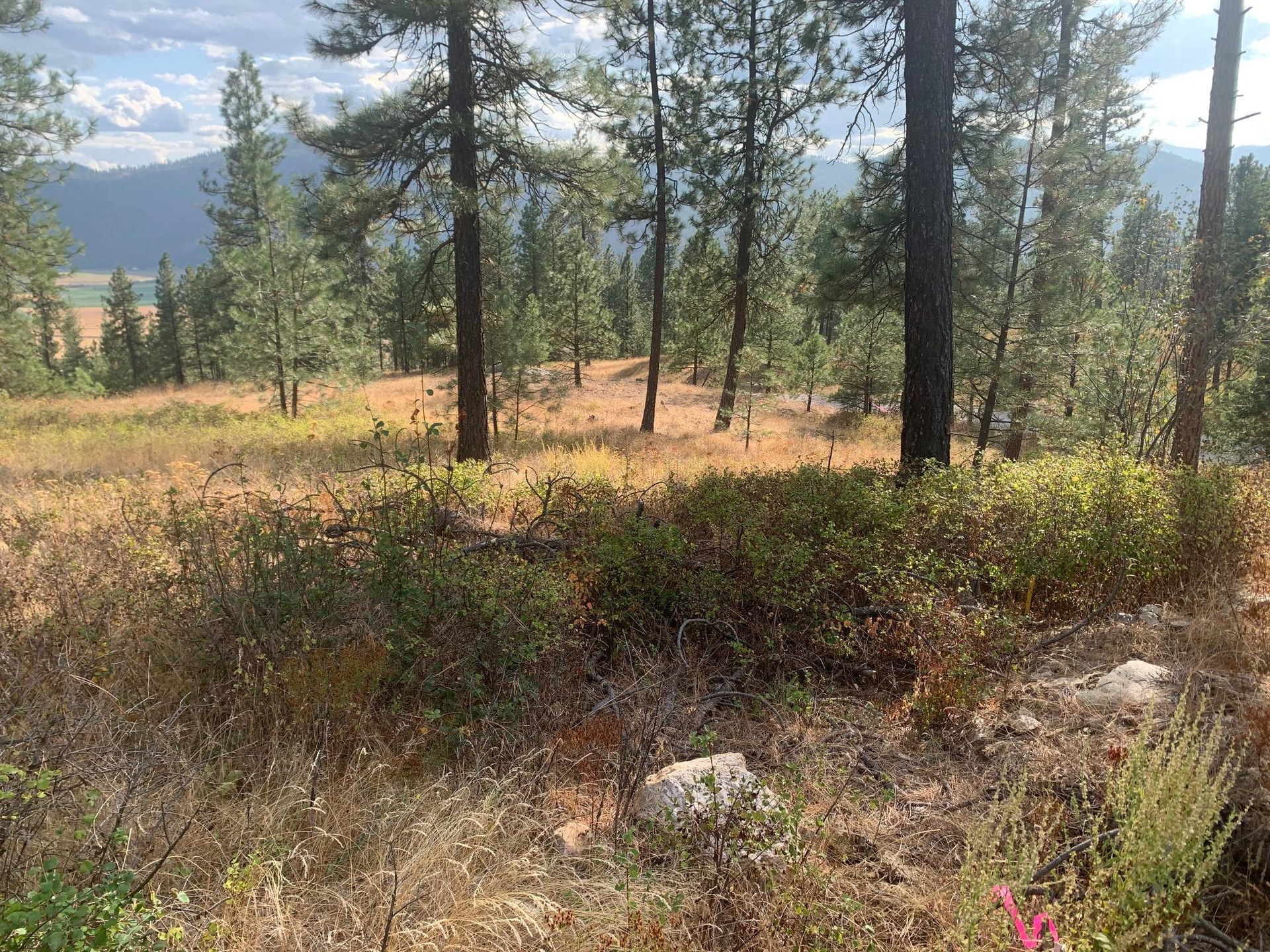 
                        Property photograph at
                        1618 PALMER LOOP
                      