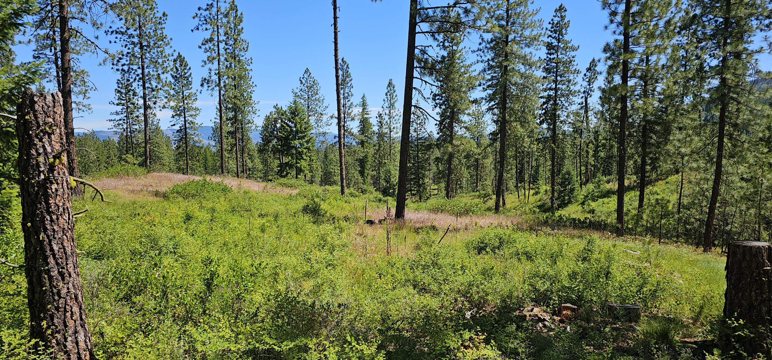 
                        Property photograph at
                        20X LYNX CREEK RD
                      