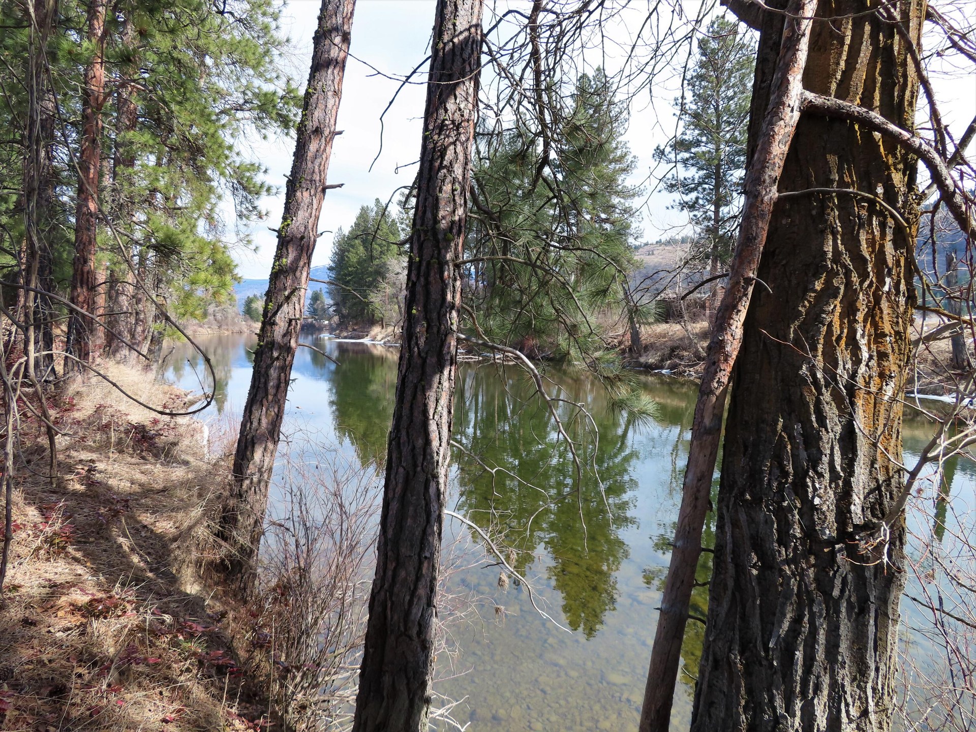 
                        Property photograph at
                        TBD HIGHWAY 21 N
                      