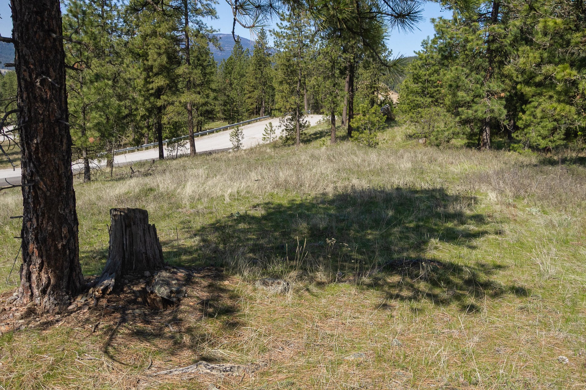 
                        Property photograph at
                        1622 PALMER LOOP
                      