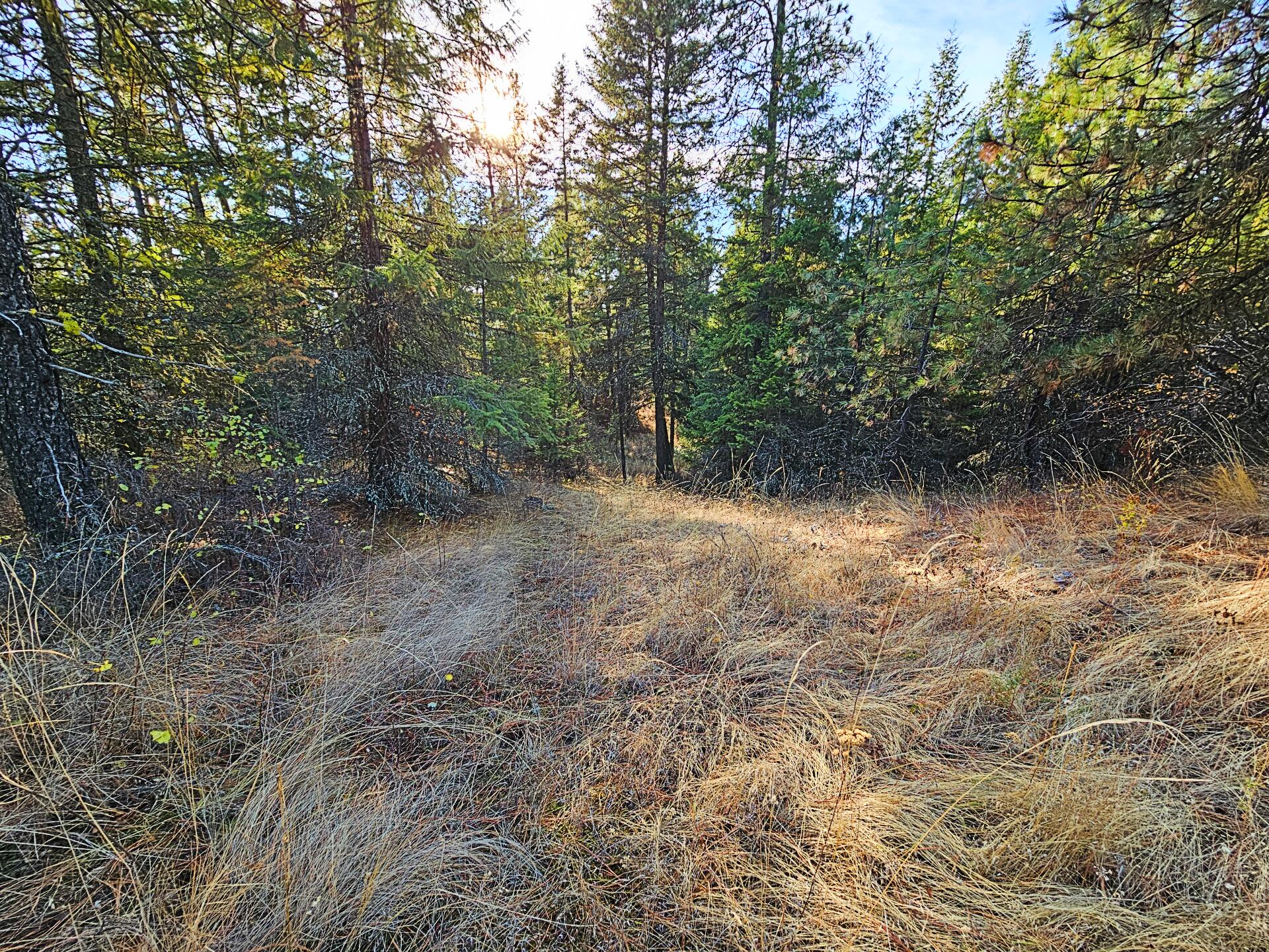 
                        Property photograph at
                        1631Q BONANZA HILL RD N
                      