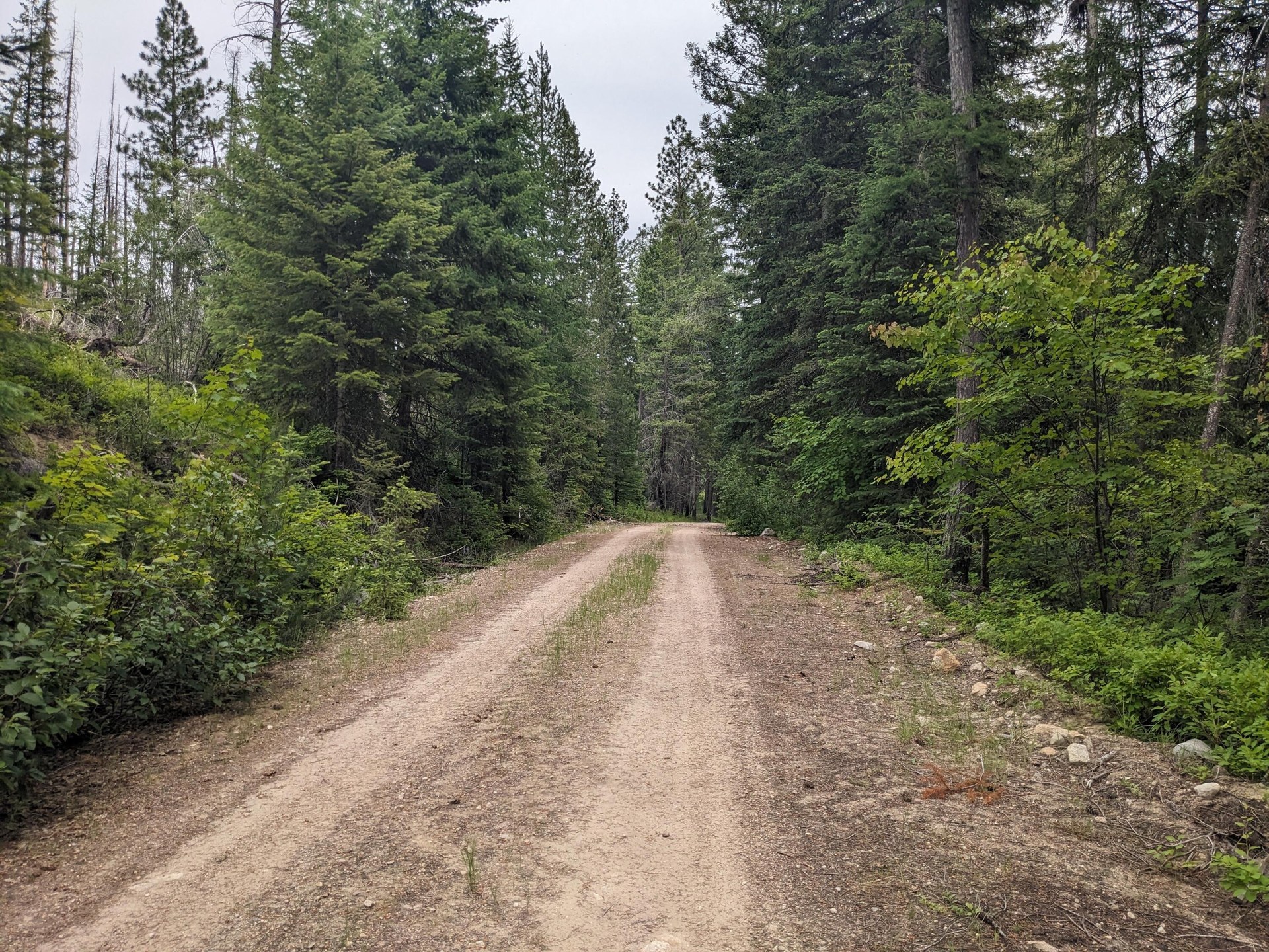 
                        Property photograph at
                        TBD BIA RD. 56
                      