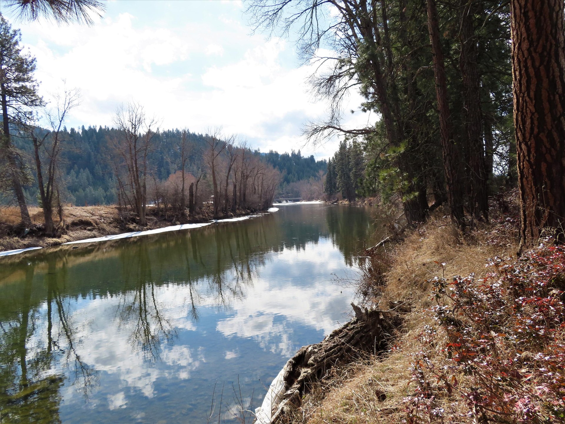 
                        Property photograph at
                        TBD HIGHWAY 21 N
                      