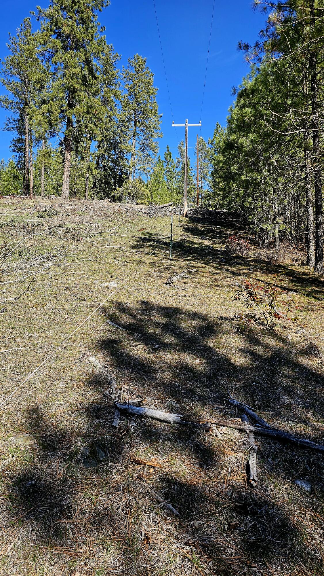 
                        Property photograph at
                        2068 ADDY-GIFFORD RD
                      