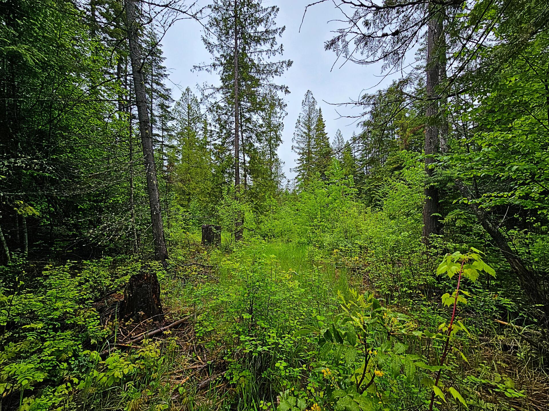 
                        Property photograph at
                        1895 TBD BLUE CREEK ROAD RD
                      