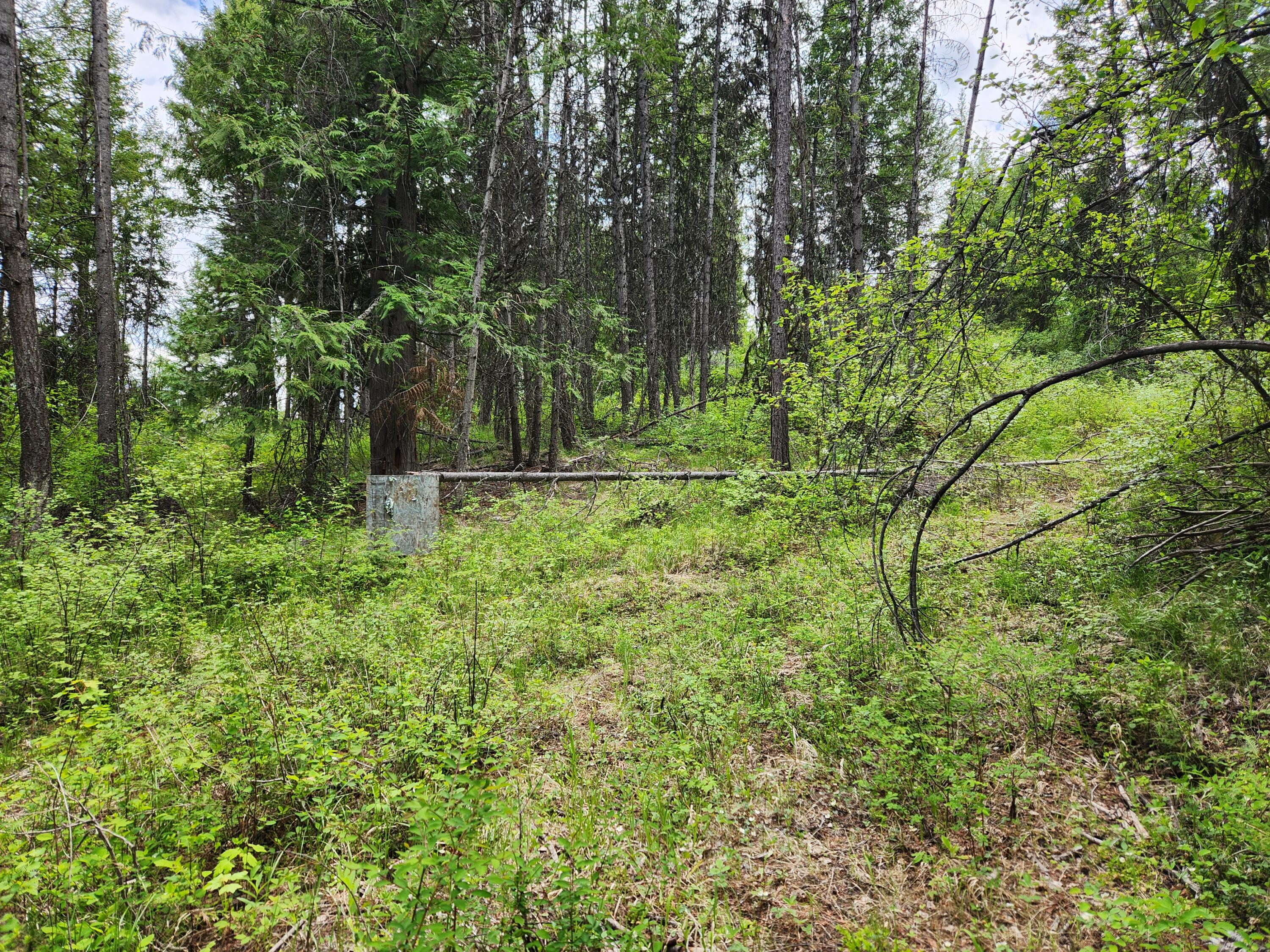 
                        Property photograph at
                        318 ROCKABYE LN
                      