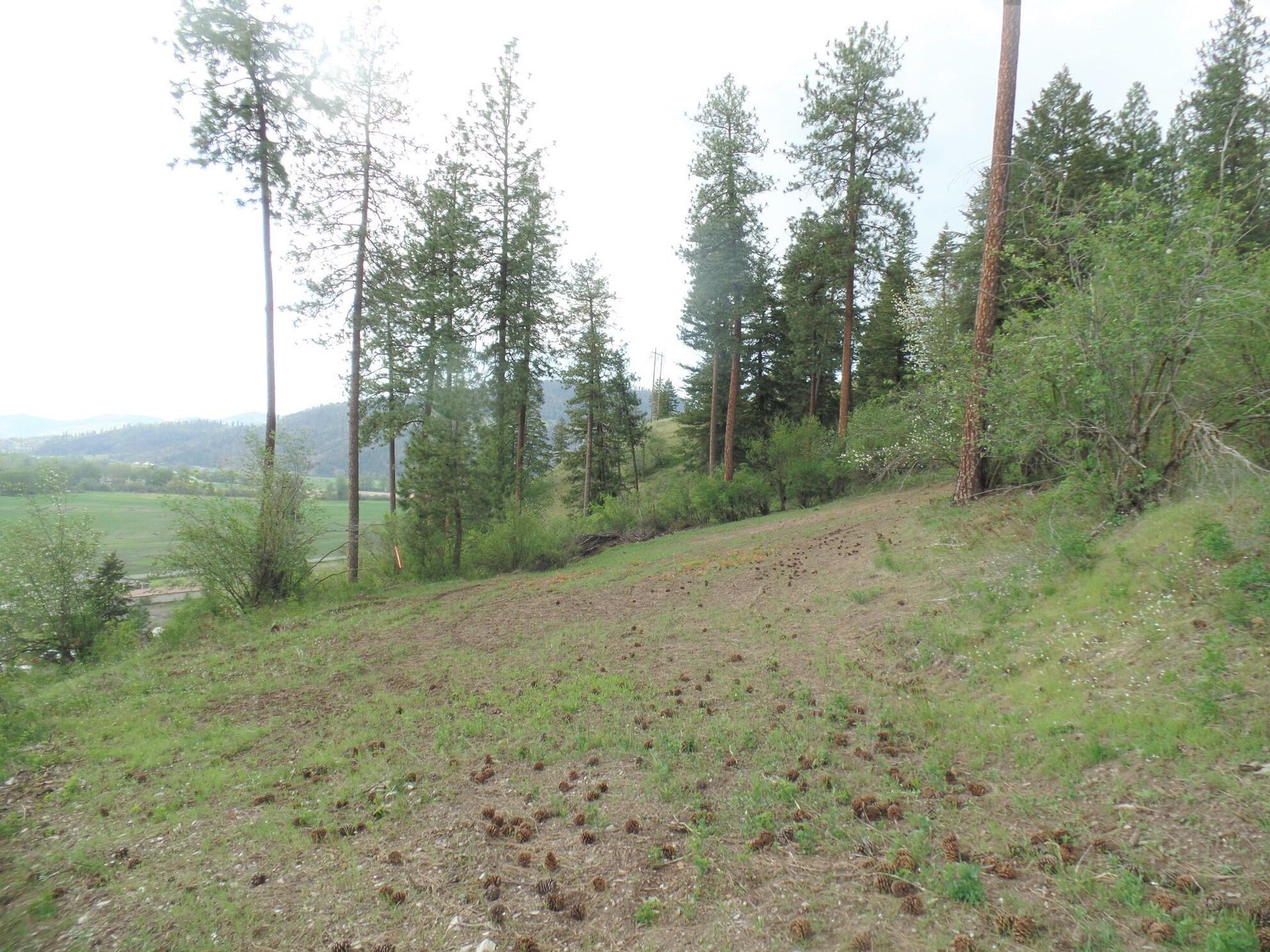 
                        Property photograph at
                        2XX HWY 395 N #B
                      