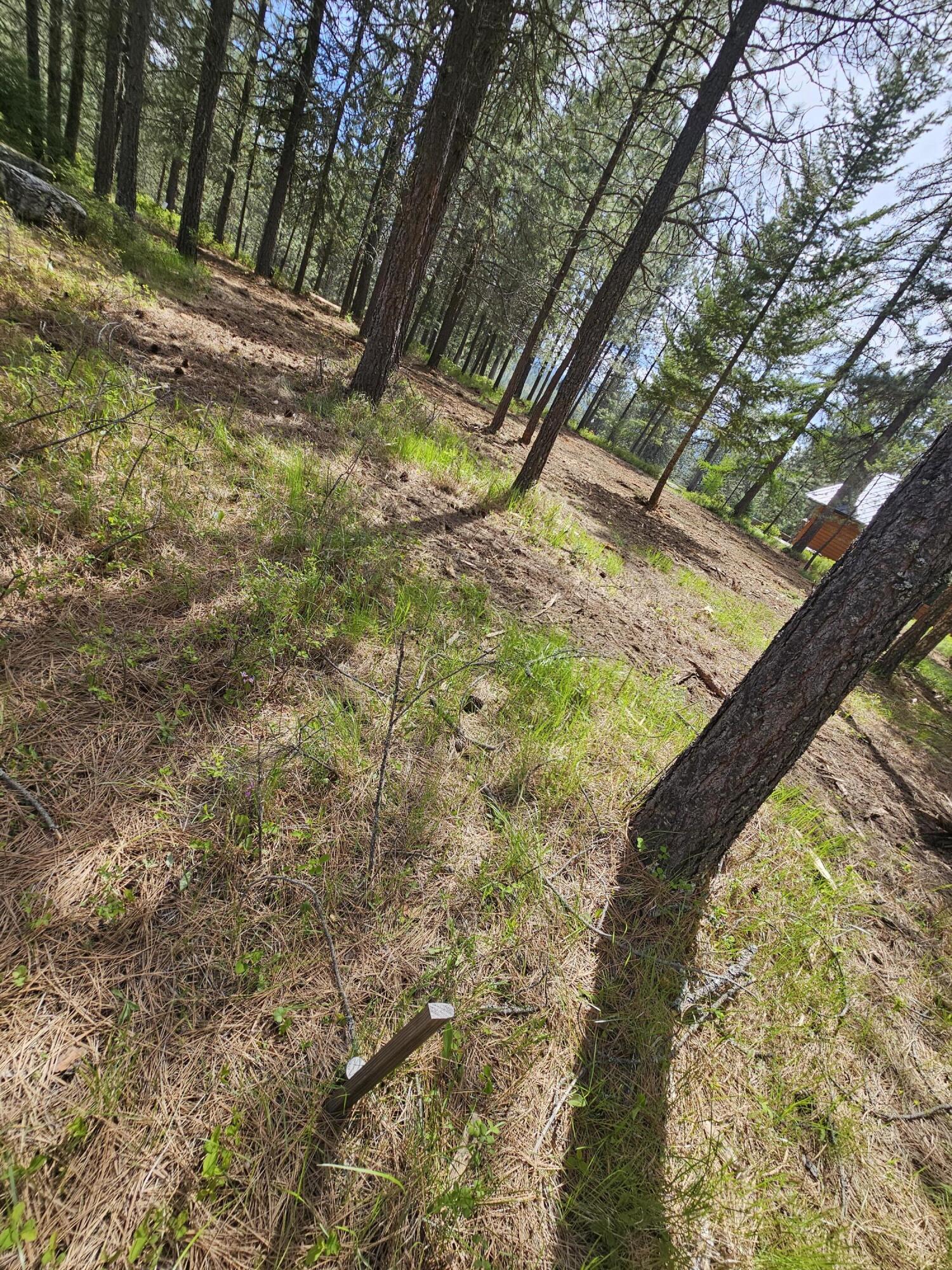 
                        Property photograph at
                        XXX COUPLES PL LOT 24
                      