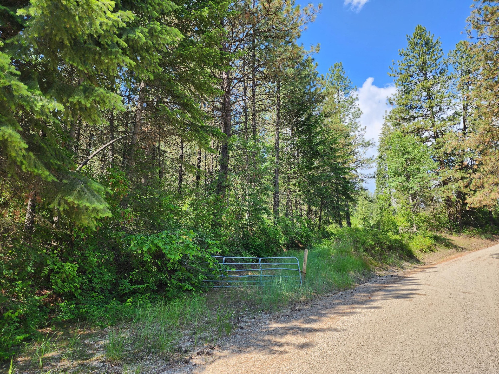 
                        Property photograph at
                        LOT 4 MATSEN CREEK RD
                      