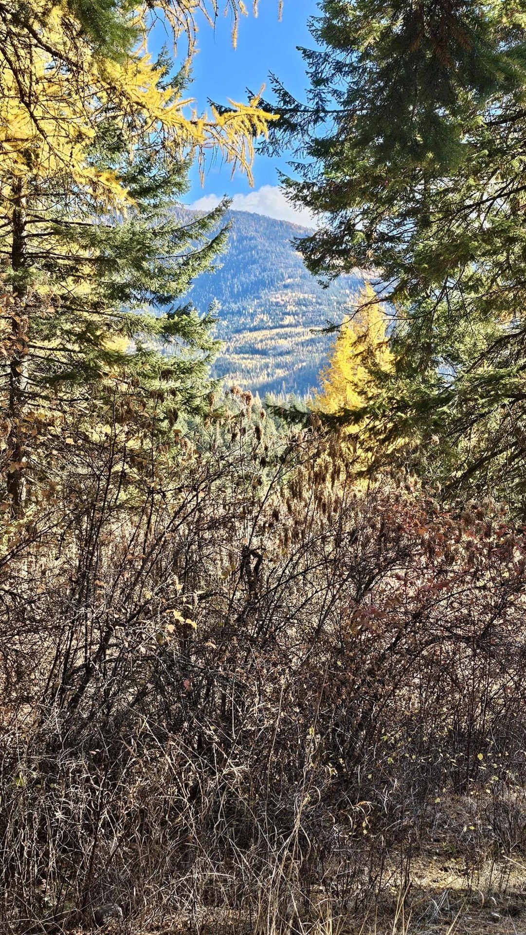 
                        Property photograph at
                        700 DRY GULCH RD
                      
