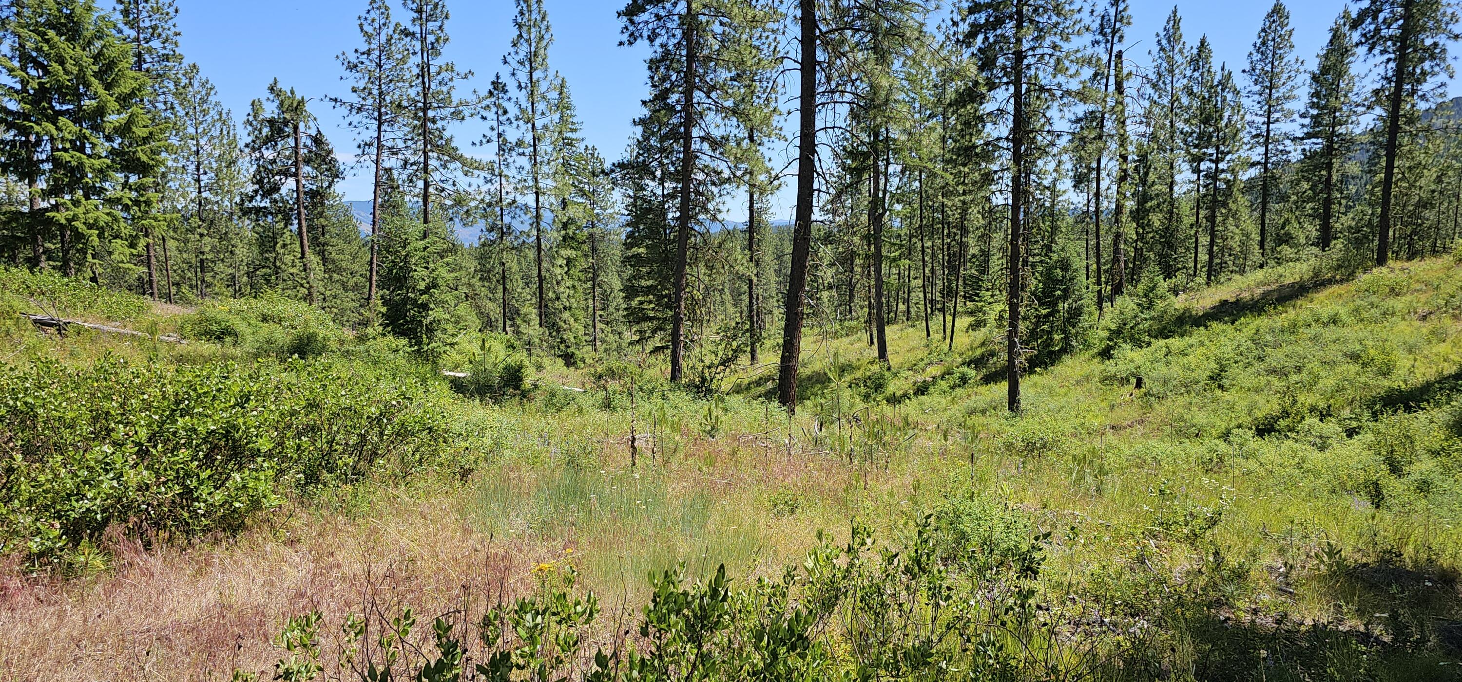 
                        Property photograph at
                        20X LYNX CREEK RD
                      