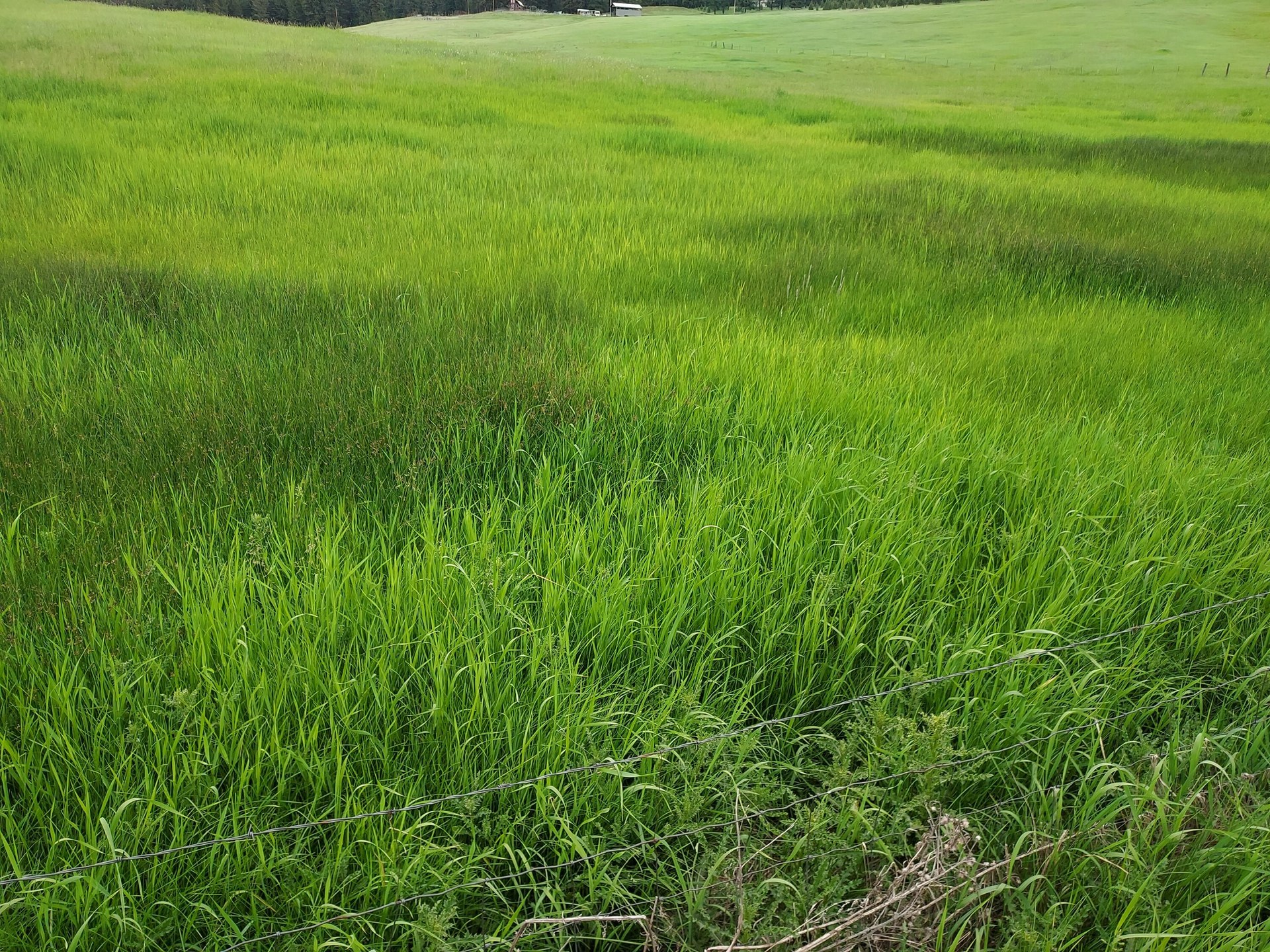 
                        Property photograph at
                        47 OLD RANCH HOUSE ROAD (LOT 2)
                      