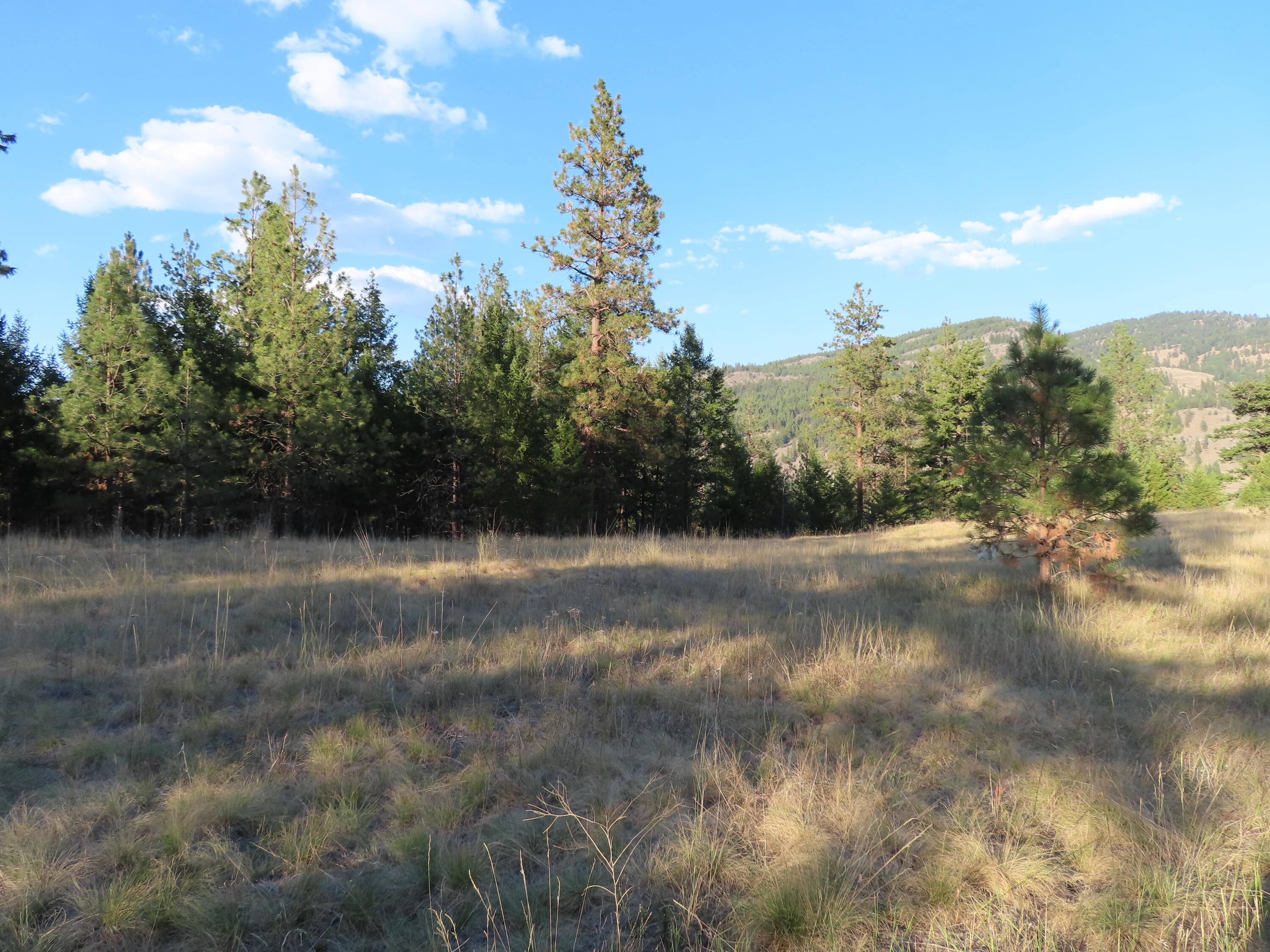 
                        Property photograph at
                        TBD TORODA CREEK RD
                      