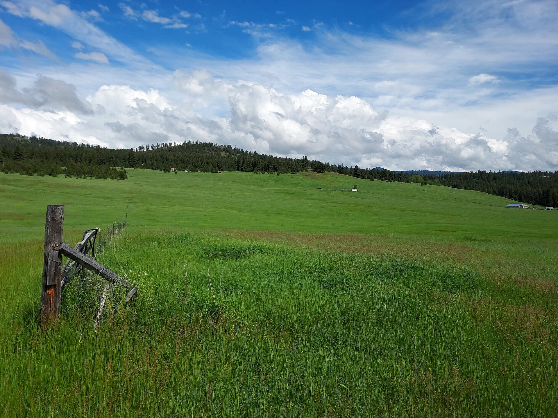 
                        Property photograph at
                        37 OLD RANCH HOUSE ROAD  (LOT 1 )
                      
