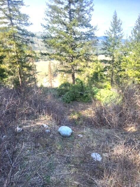 
                        Property photograph at
                        2462X WA-25 HWY
                      