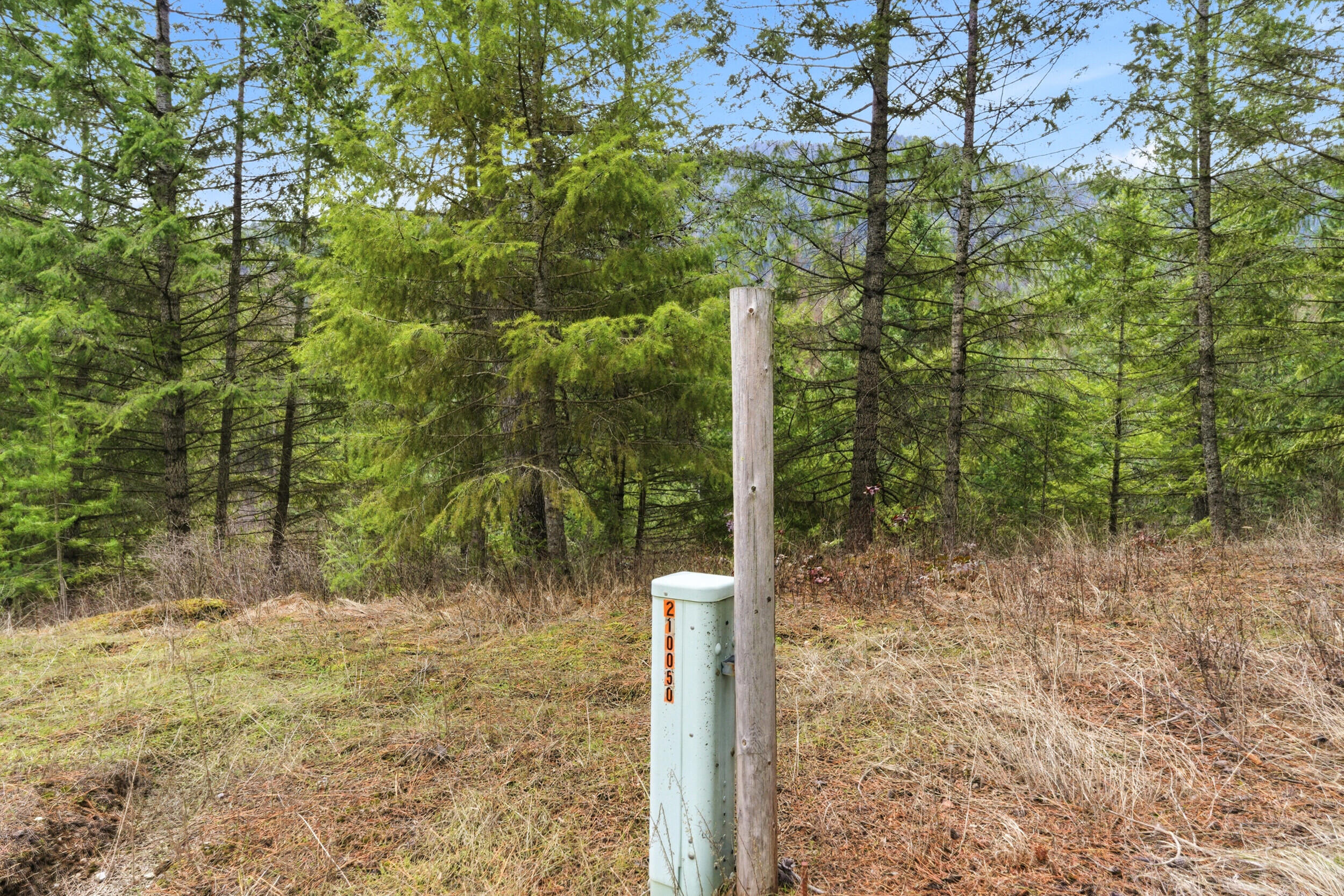 
                        Property photograph at
                        2845 BURNT VALLEY (18.5AC) RD
                      