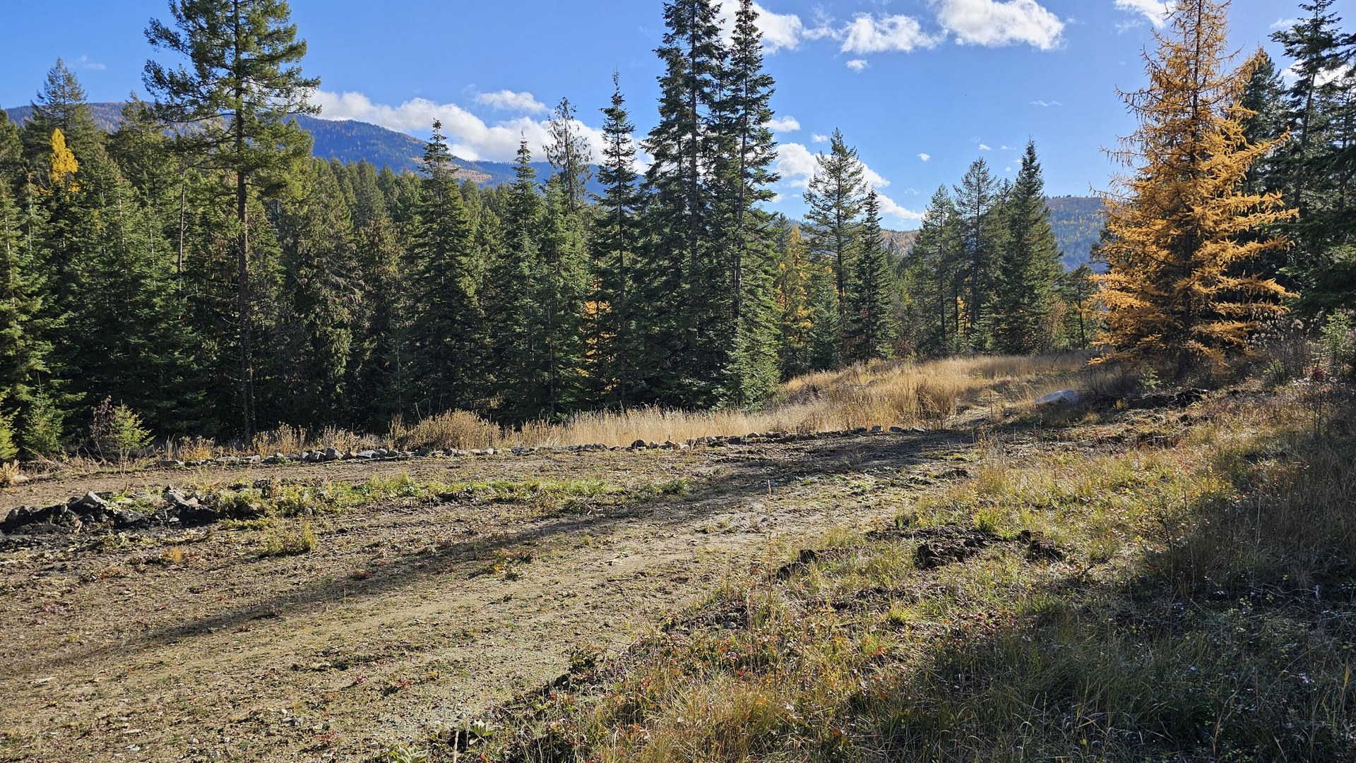 
                        Property photograph at
                        717 B FINLEY GULCH RD
                      