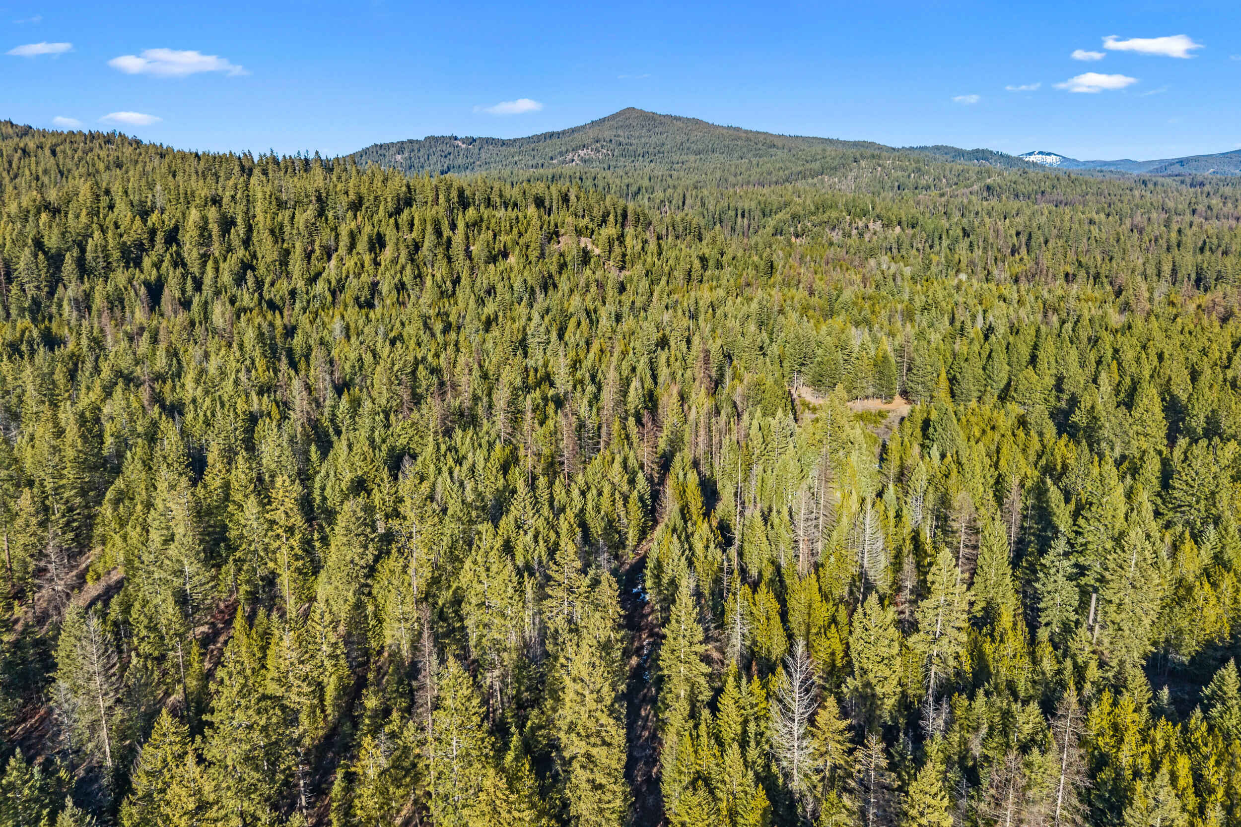 
                        Property photograph at
                        28XX BURNT VALLEY (80AC) RD
                      