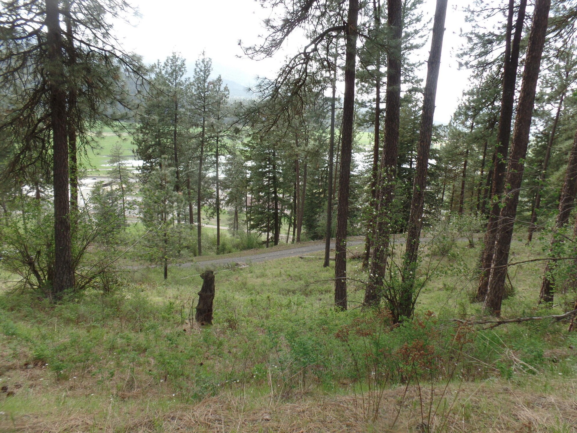 
                        Property photograph at
                        2XX HWY 395 N #A
                      