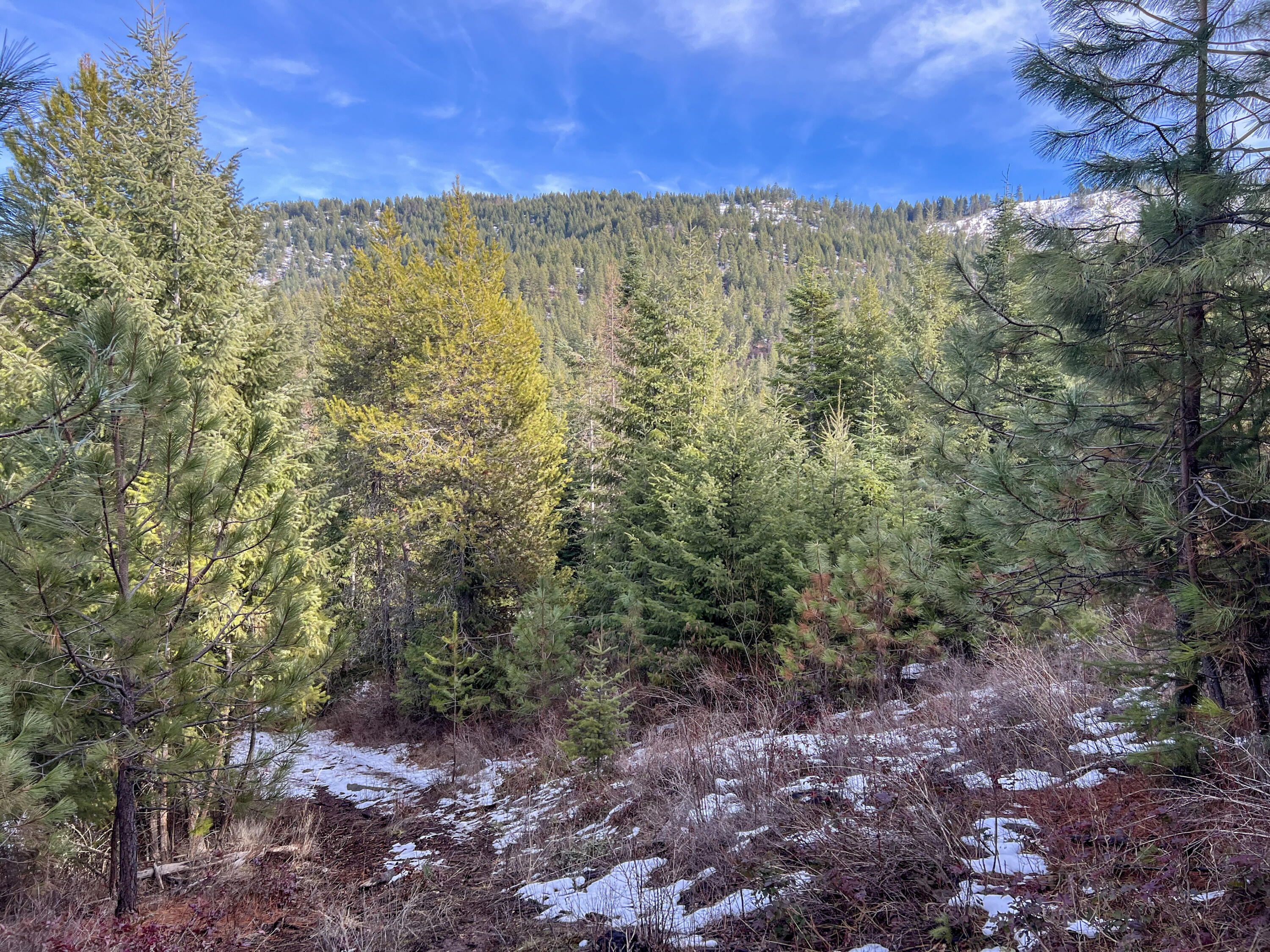 
                        Property photograph at
                        35XX HARMS WAY
                      