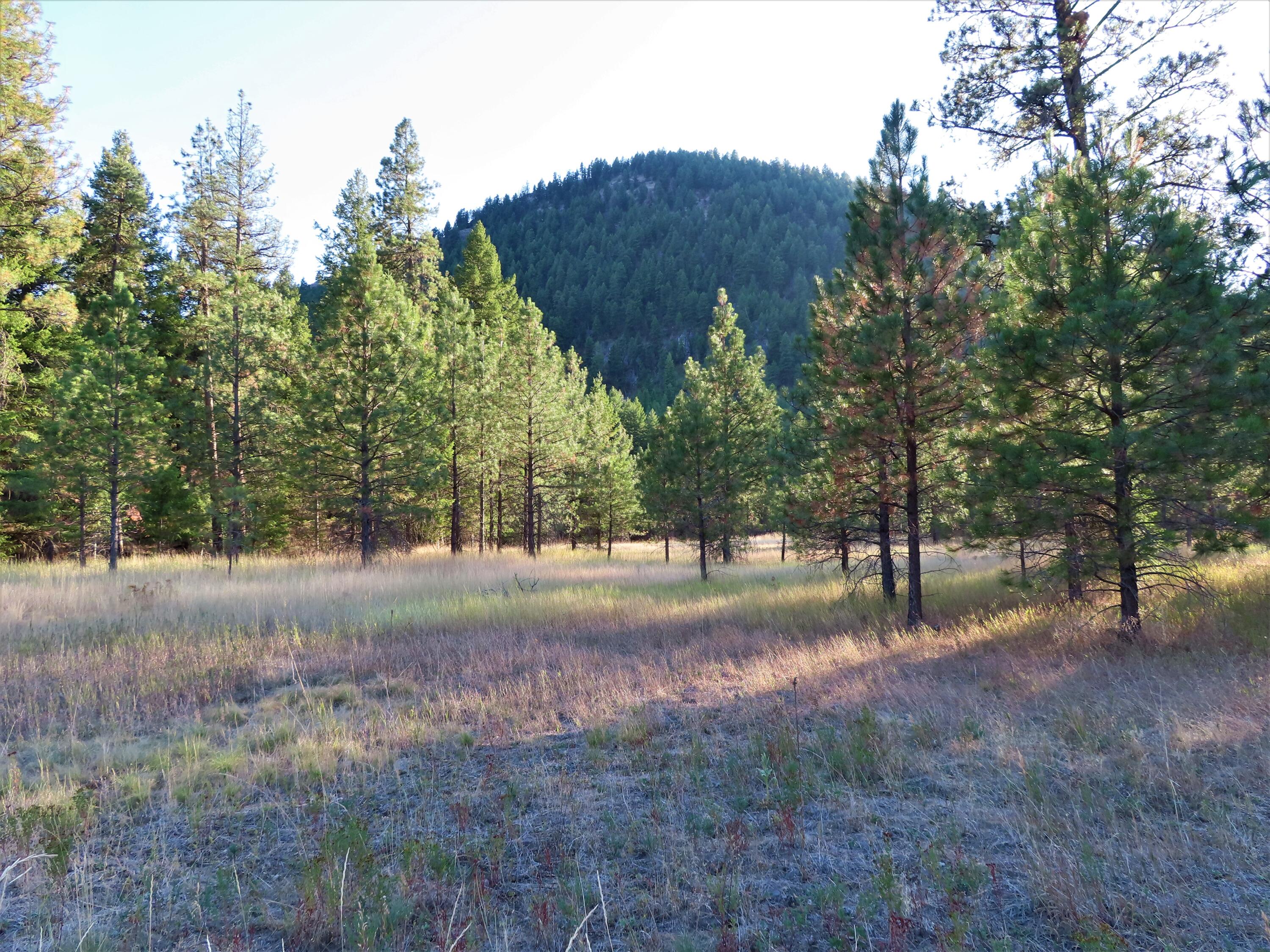 
                        Property photograph at
                        TBD TORODA CREEK RD
                      