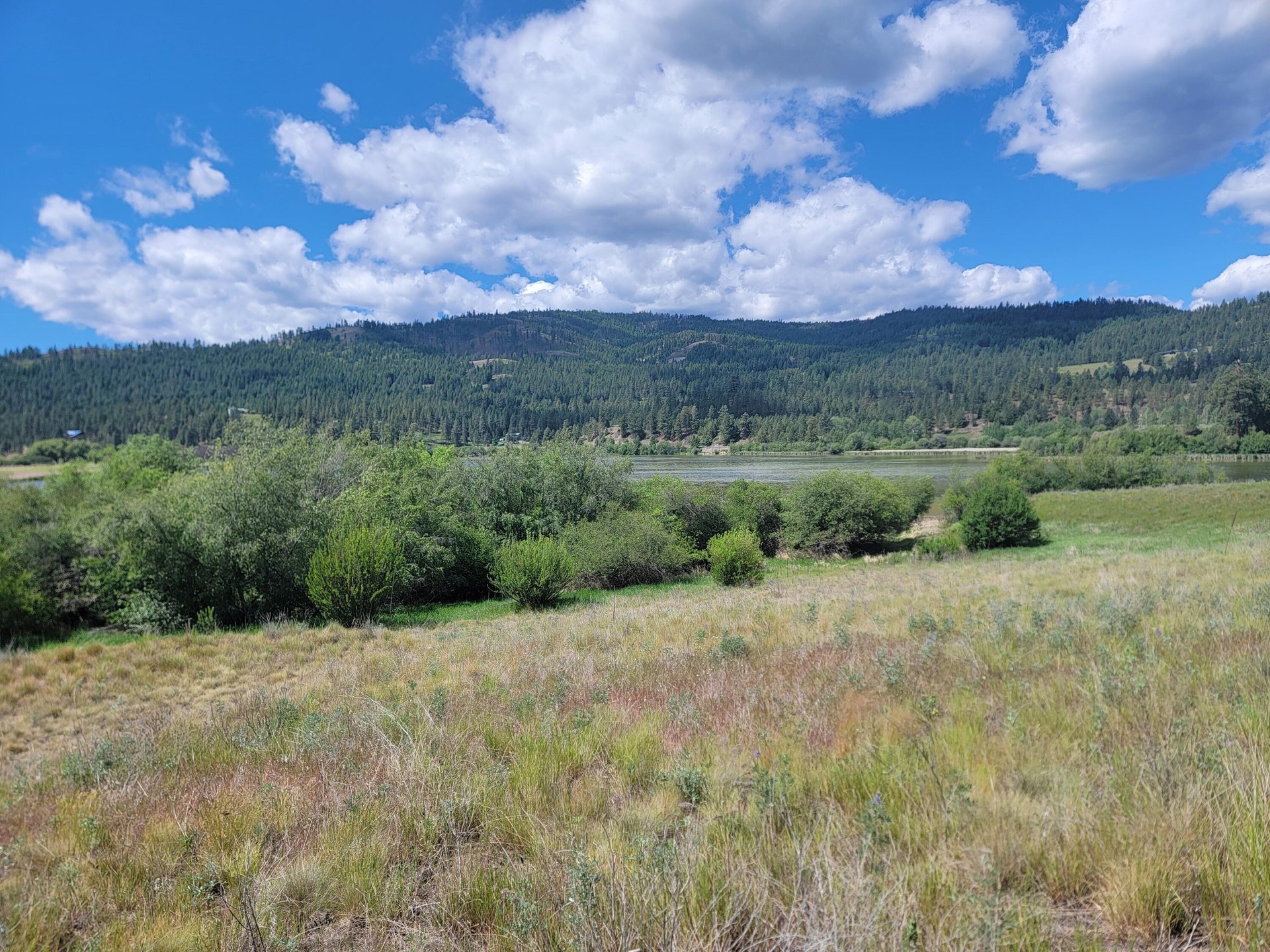 
                        Property photograph at
                        TBD CURLEW DR
                      