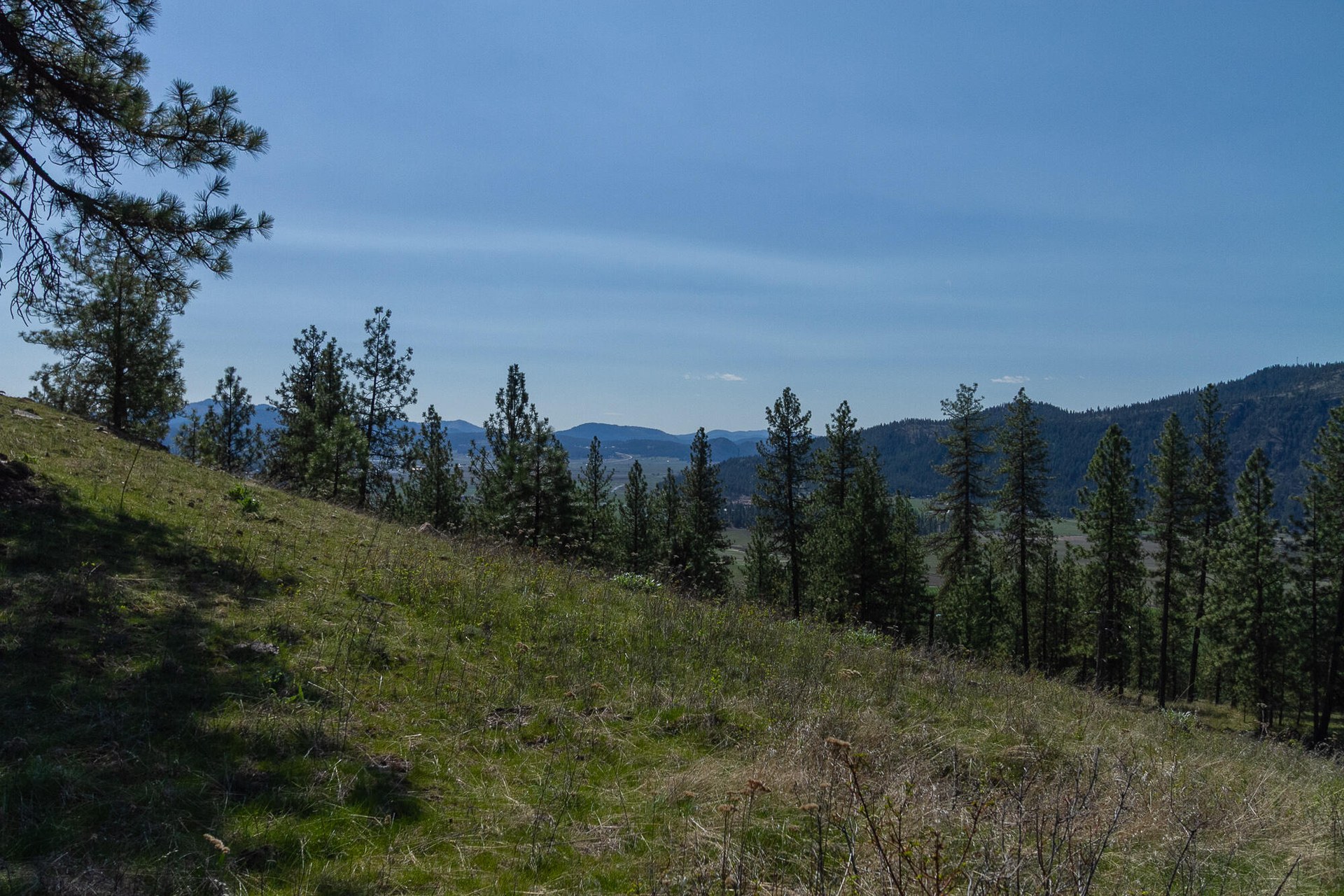 
                        Property photograph at
                        1622 PALMER LOOP
                      