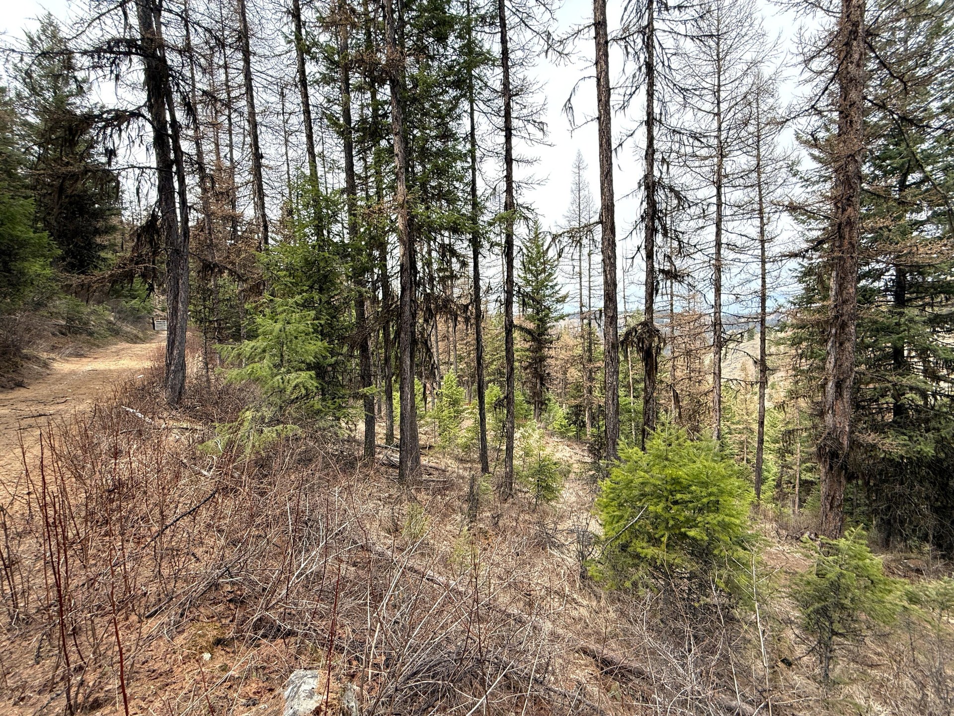 
                        Property photograph at
                        TBD GIVEOUT CREEK RD
                      