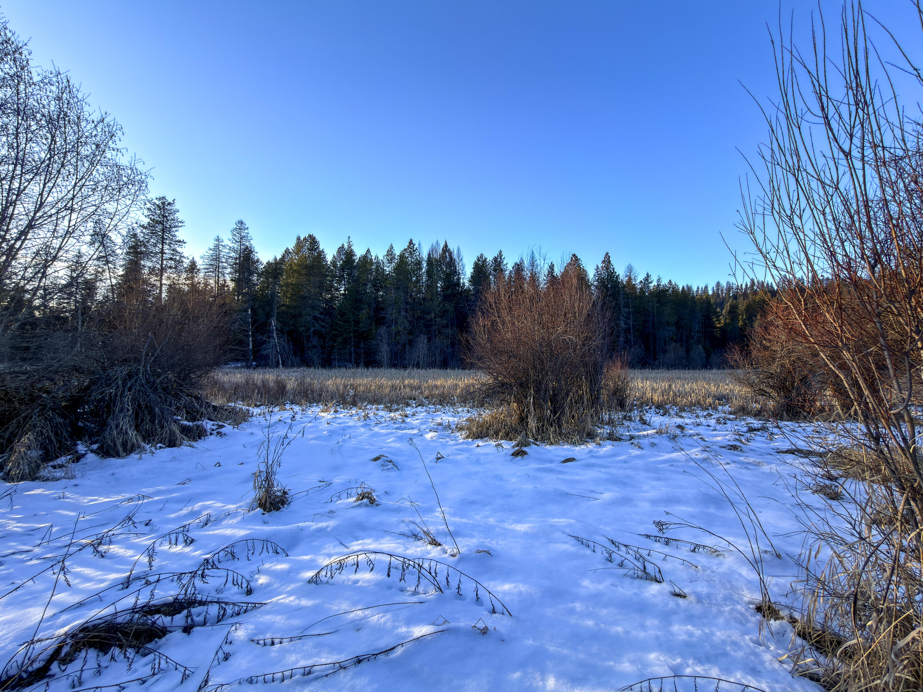 
                        Property photograph at
                        331861 HIGHWAY 2
                      