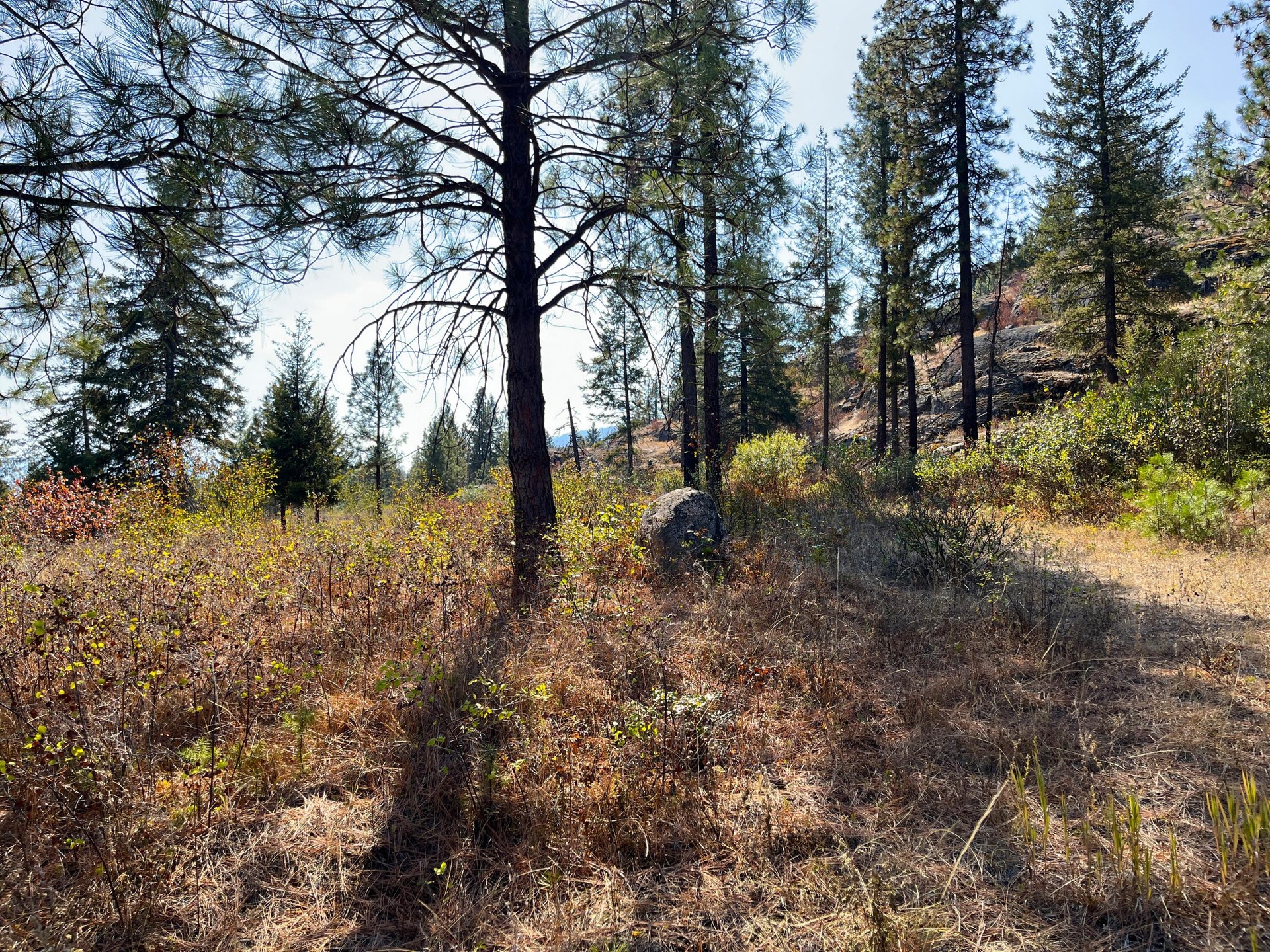 
                        Property photograph at
                        TRACT 2 COWBOYS AND ANGELS AVE
                      