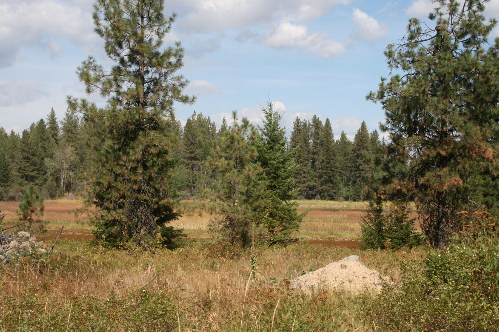 
            Exterior of
            00 LITTLE SWEDEN RD
          