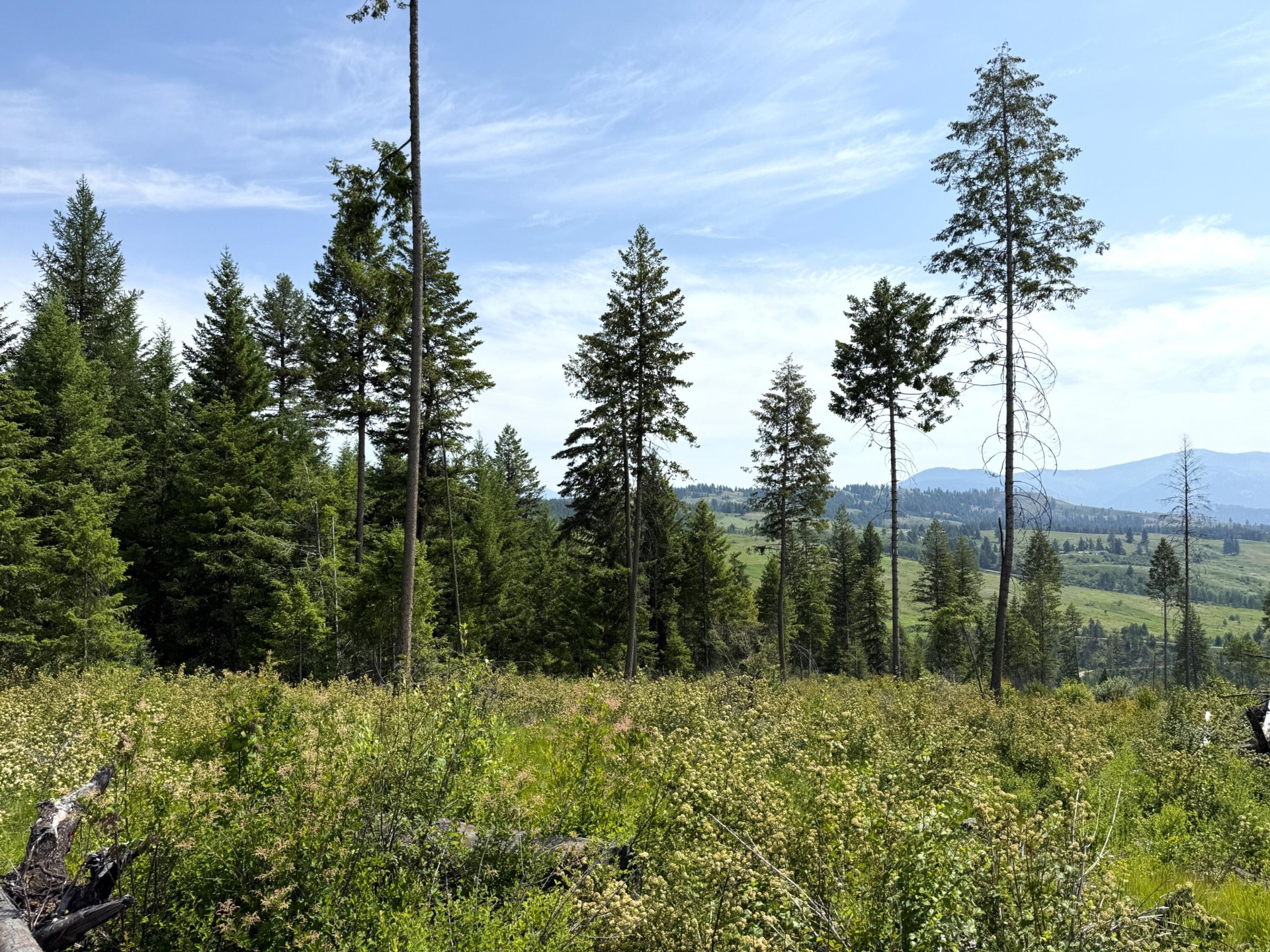 
                        Property photograph at
                        TBD ROCKABYE LN
                      